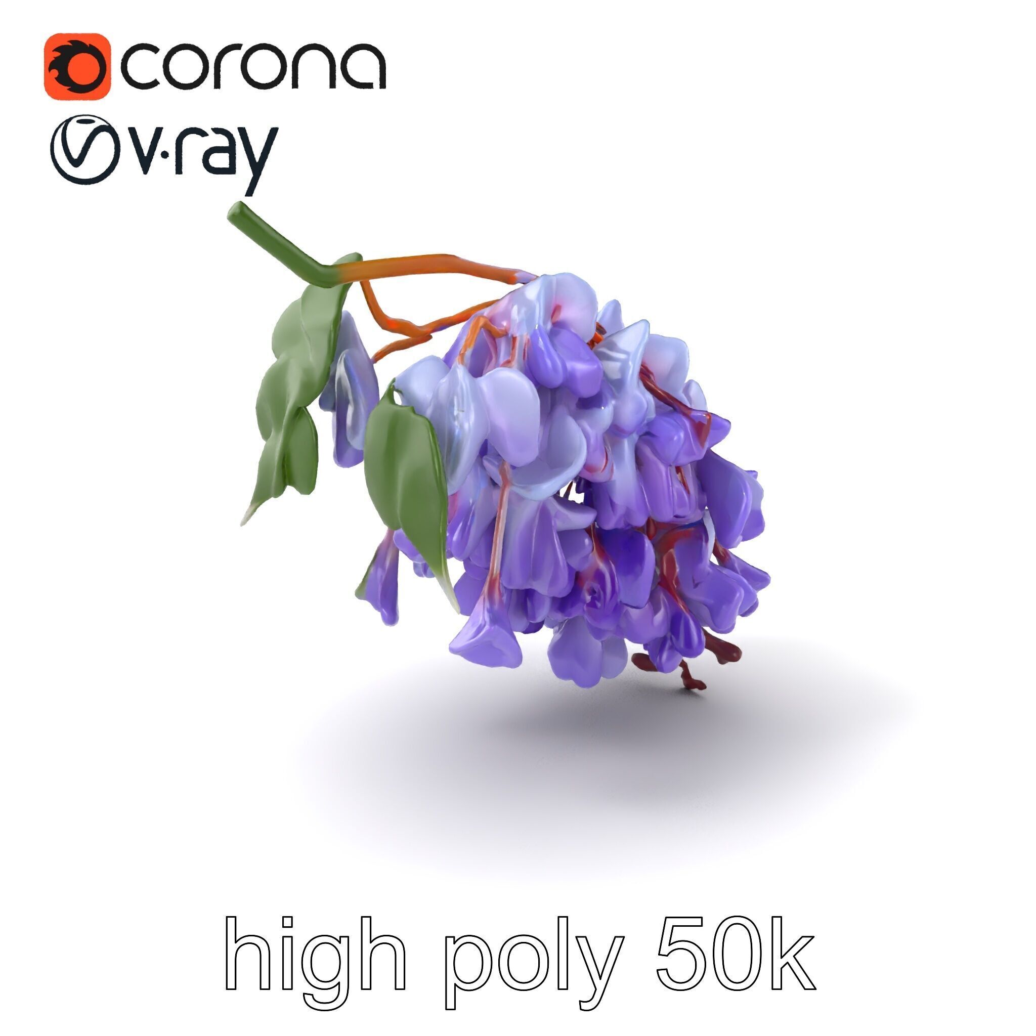 Bicolor Wisteria Petals 3D Model Pack Low-poly 3D model_2