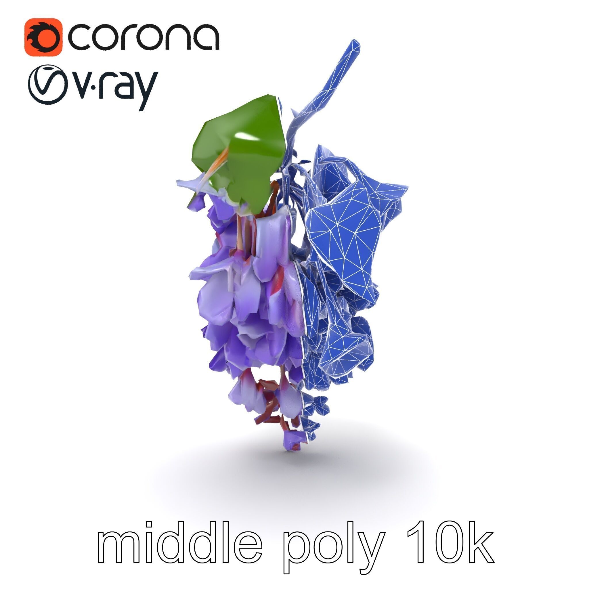 Bicolor Wisteria Petals 3D Model Pack Low-poly 3D model_25