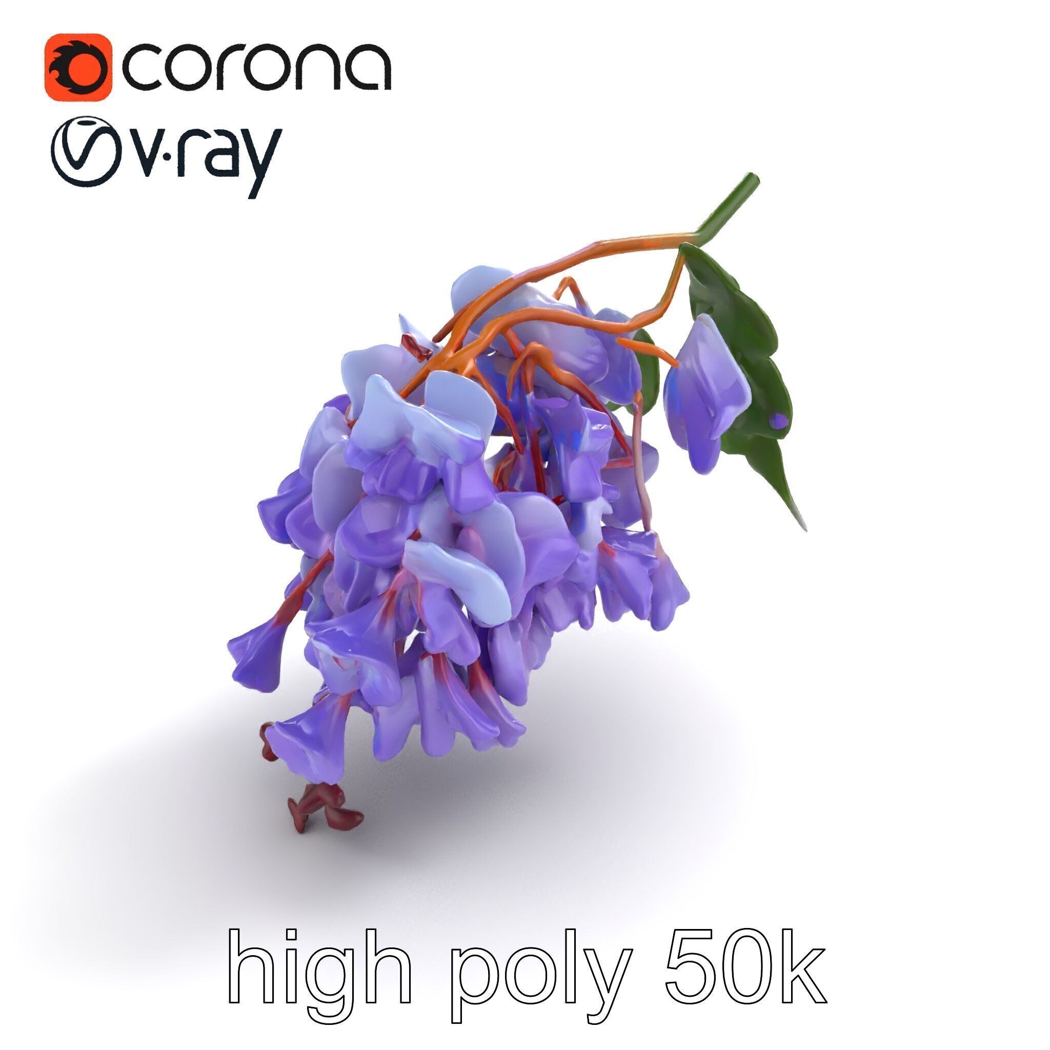 Bicolor Wisteria Petals 3D Model Pack Low-poly 3D model_14