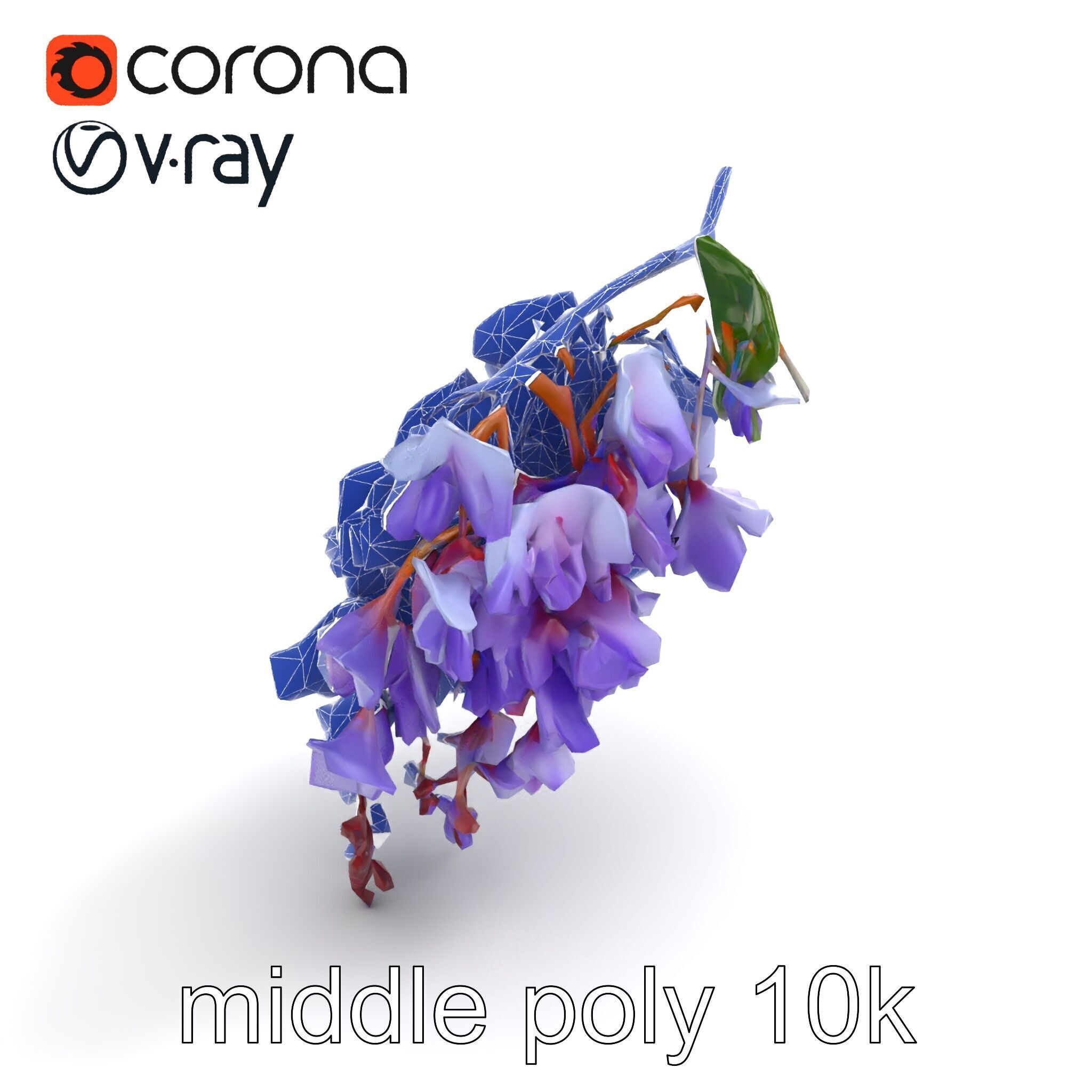 Bicolor Wisteria Petals 3D Model Pack Low-poly 3D model_20
