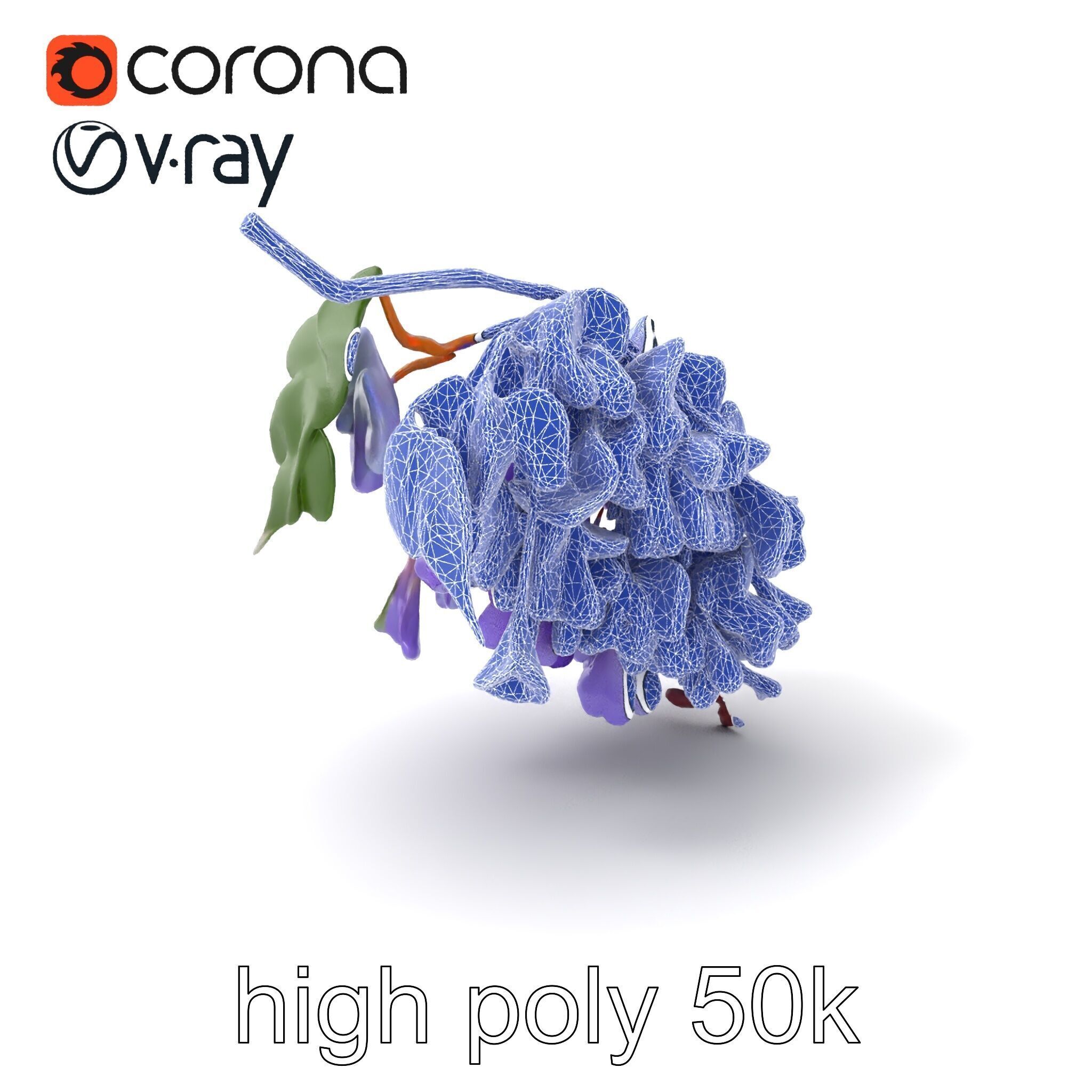 Bicolor Wisteria Petals 3D Model Pack Low-poly 3D model_10