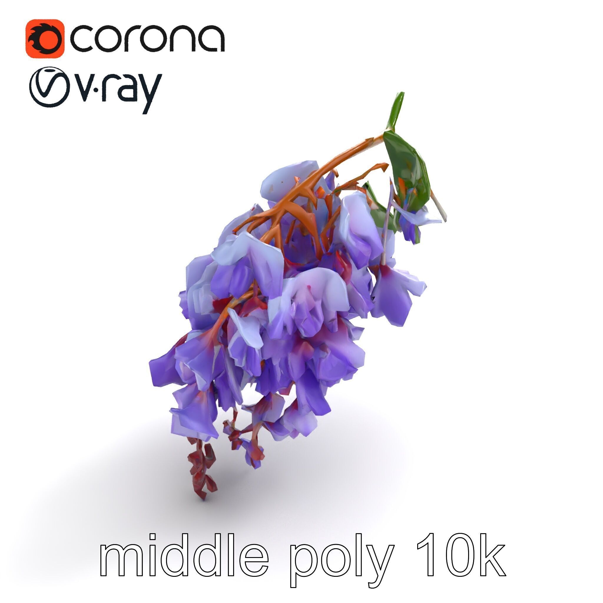 Bicolor Wisteria Petals 3D Model Pack Low-poly 3D model_8