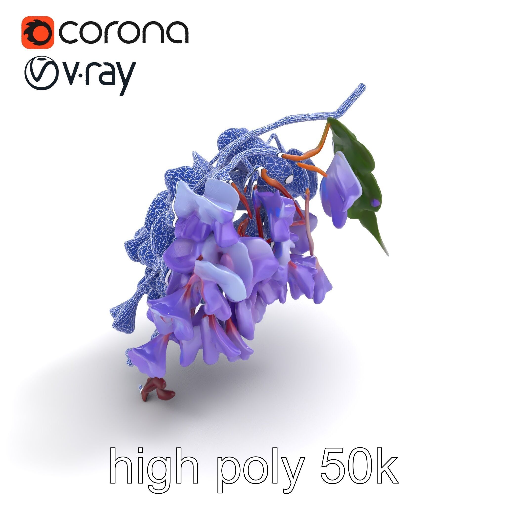 Bicolor Wisteria Petals 3D Model Pack Low-poly 3D model_11