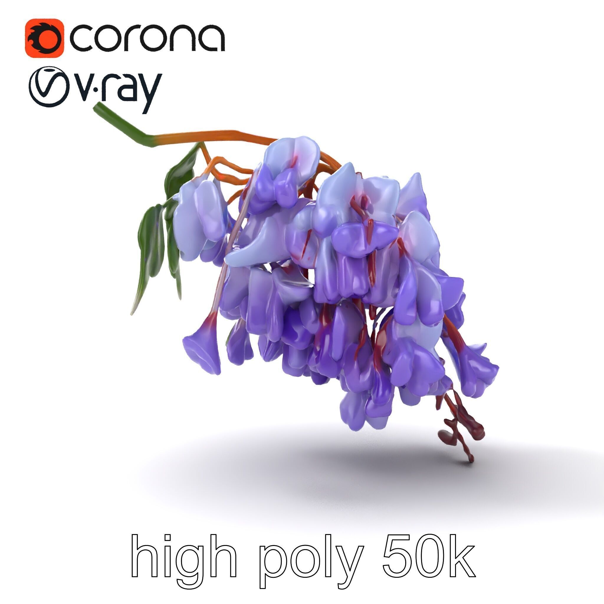Bicolor Wisteria Petals 3D Model Pack Low-poly 3D model_22