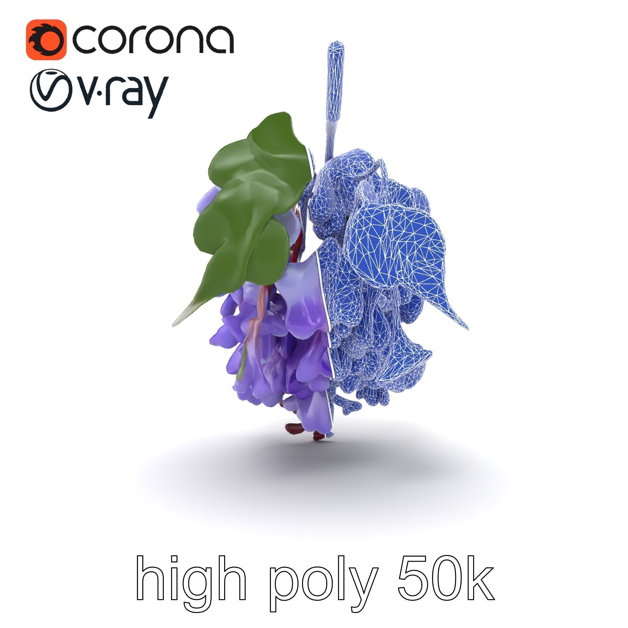 Bicolor Wisteria Petals 3D Model Pack Low-poly 3D model_26