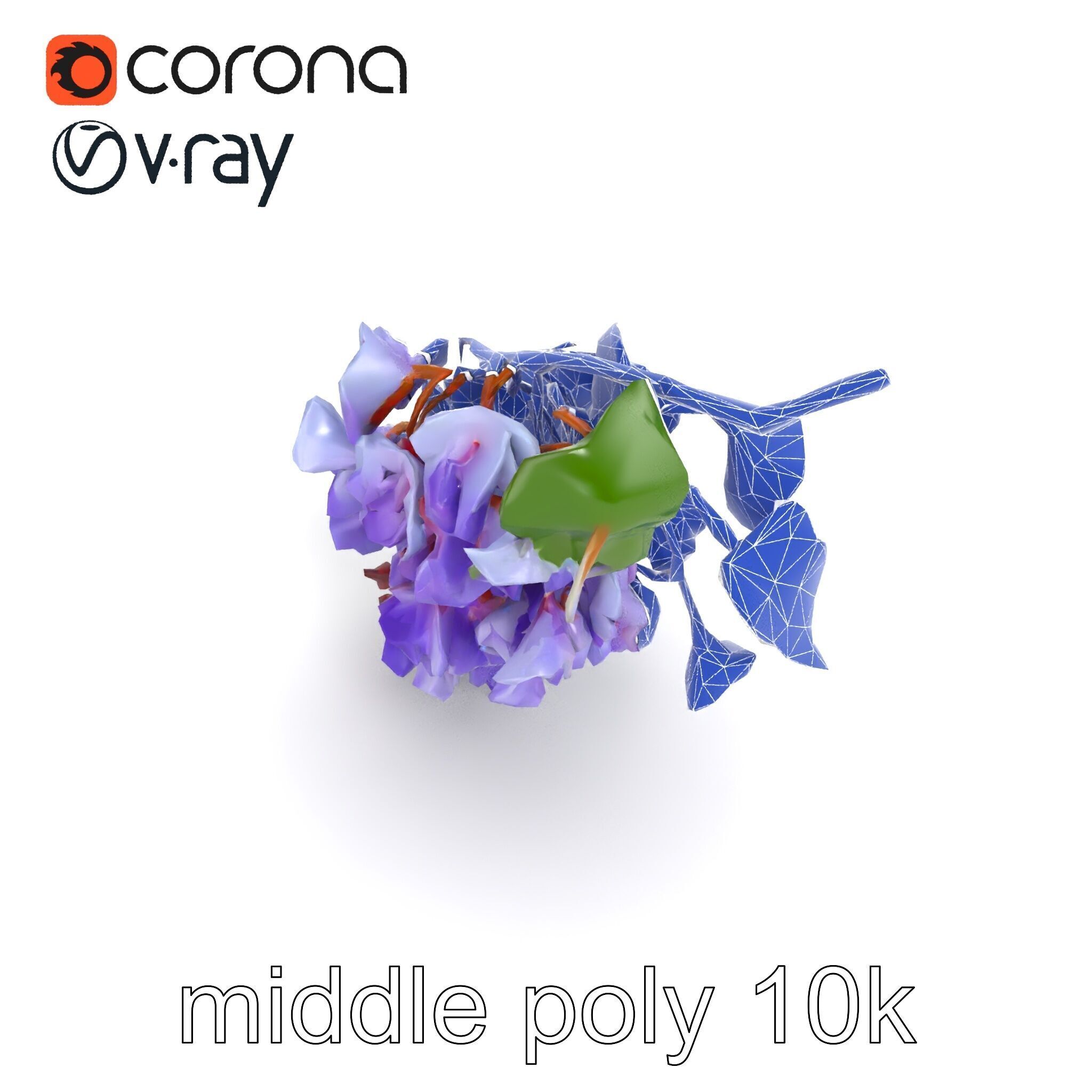 Bicolor Wisteria Petals 3D Model Pack Low-poly 3D model_21