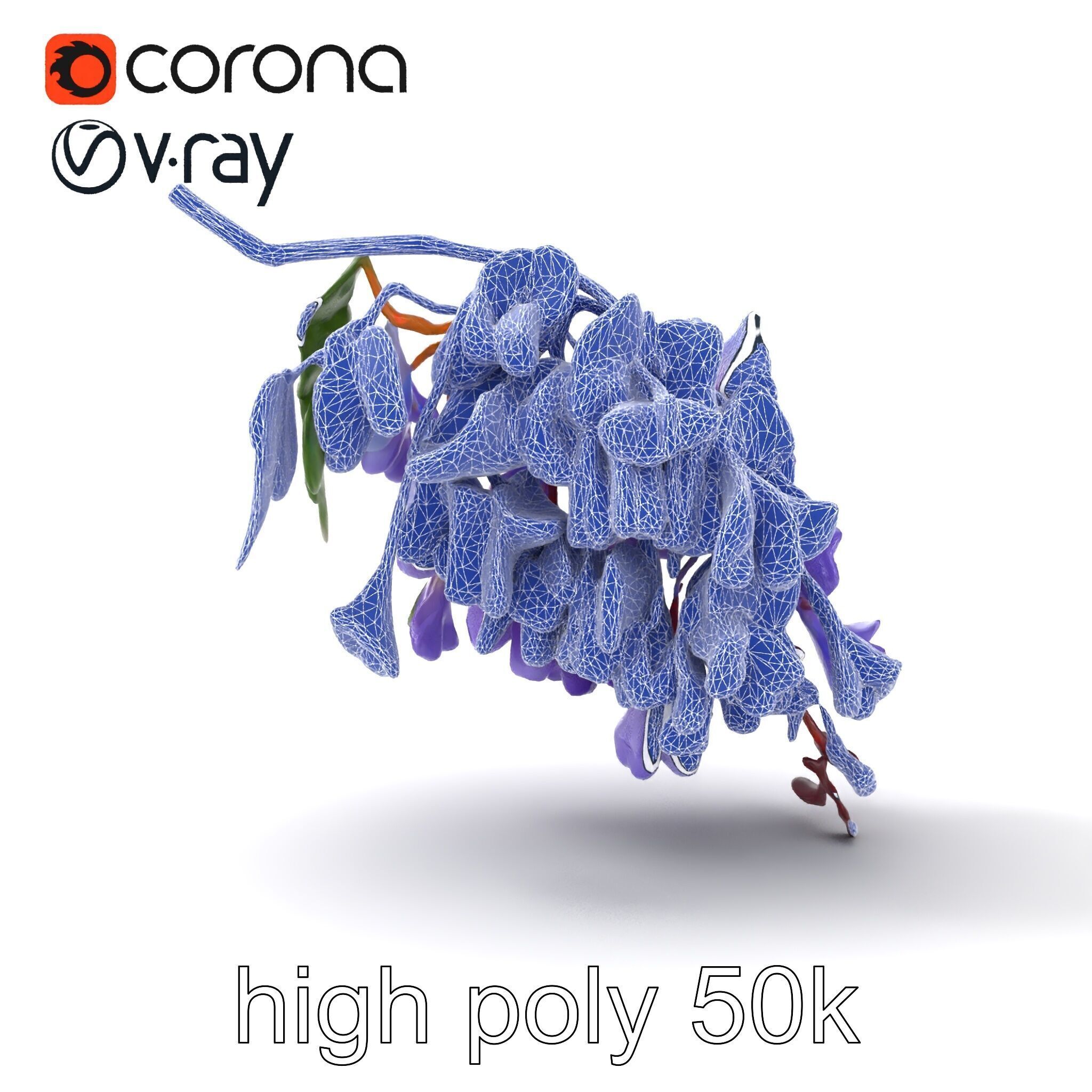Bicolor Wisteria Petals 3D Model Pack Low-poly 3D model_32