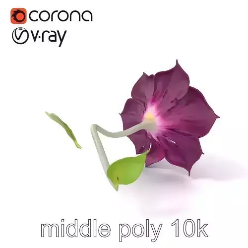 Ipomoea Purple Flower Spiral Stem model pack