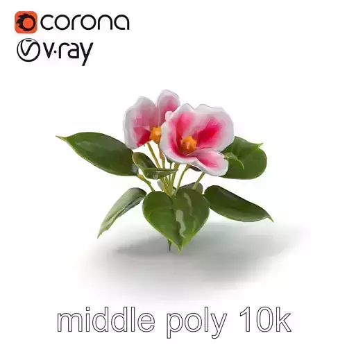 Ipomoea Flower Collection Hyper-realistic model pack Low-poly 3D model