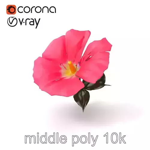 Ipomoea Pink Flower Natural Curves model pack