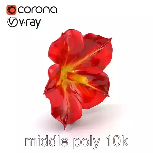 Ipomoea Red Flower Model Pack