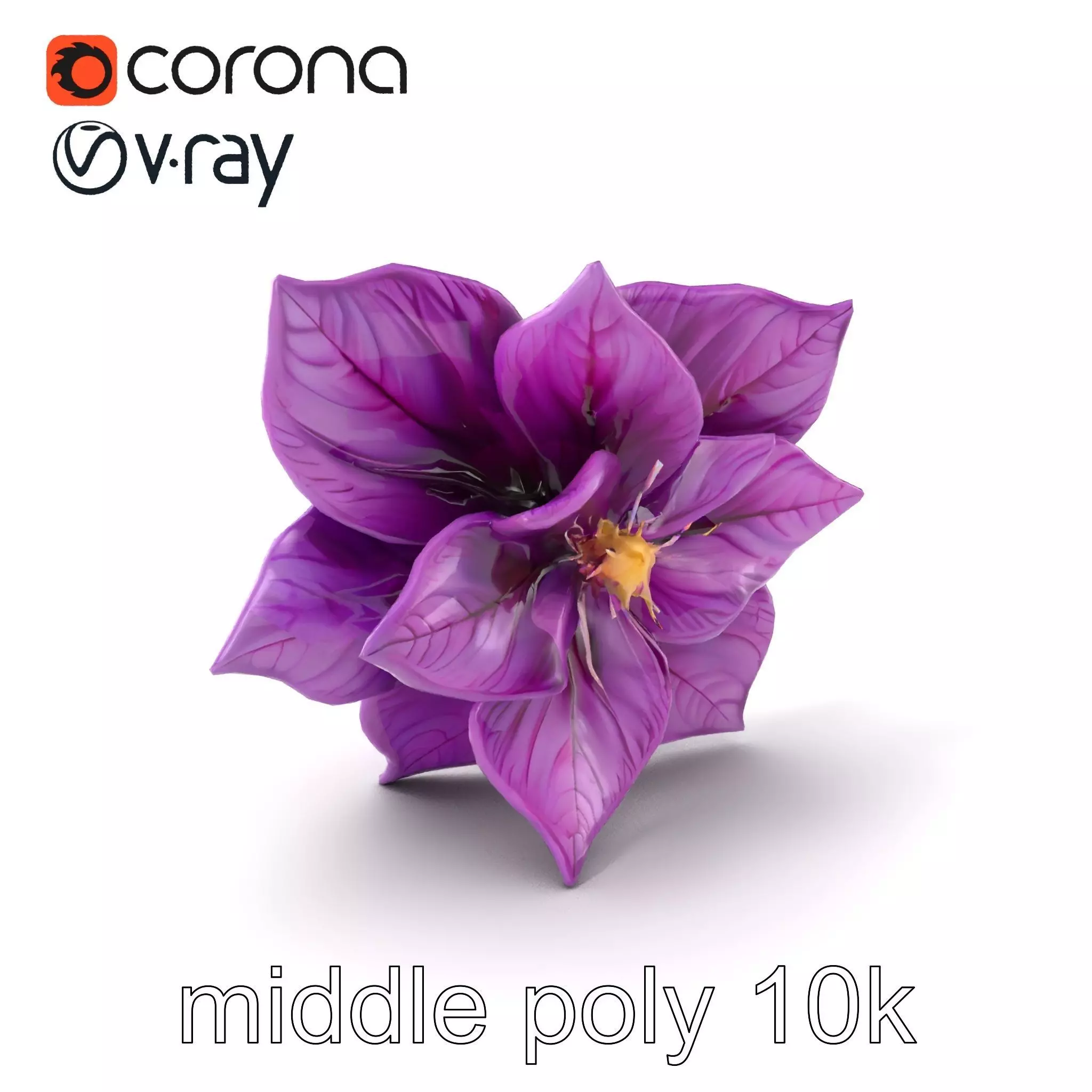 Grandiflorus Clematis Flower Sculpture model pack Low-poly 3D model