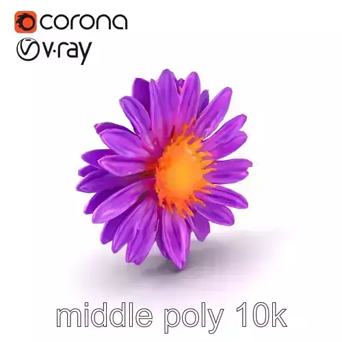 Realistic Aster Flower Purple Petals Model Pack Low-poly 3D model