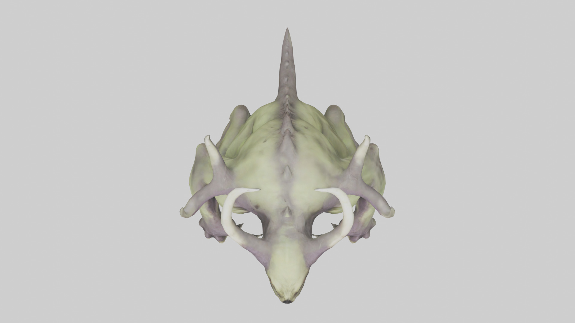 Plague Beast model Low-poly 3D model_14