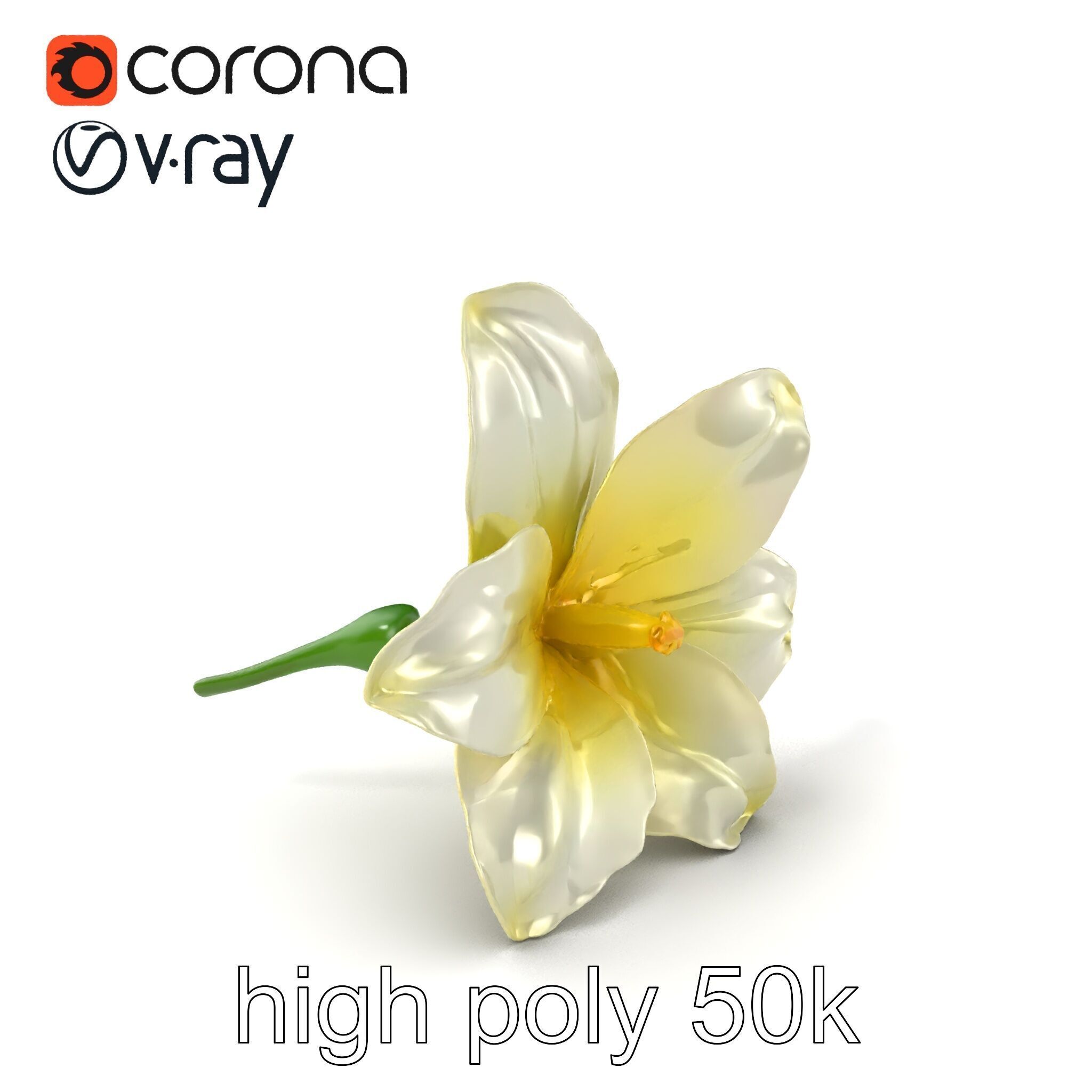 Freesia White Flower Realistic Texture model pack Low-poly 3D model_2
