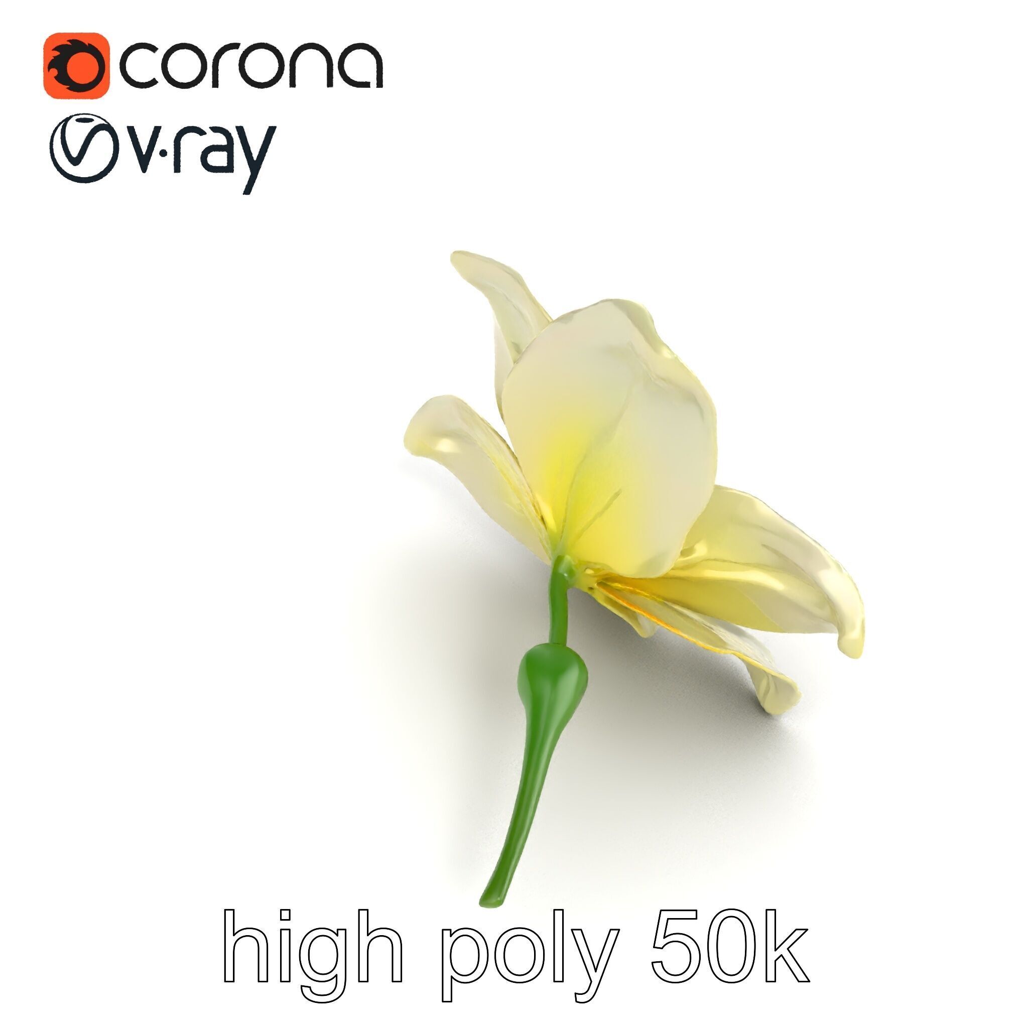 Freesia White Flower Realistic Texture model pack Low-poly 3D model_22