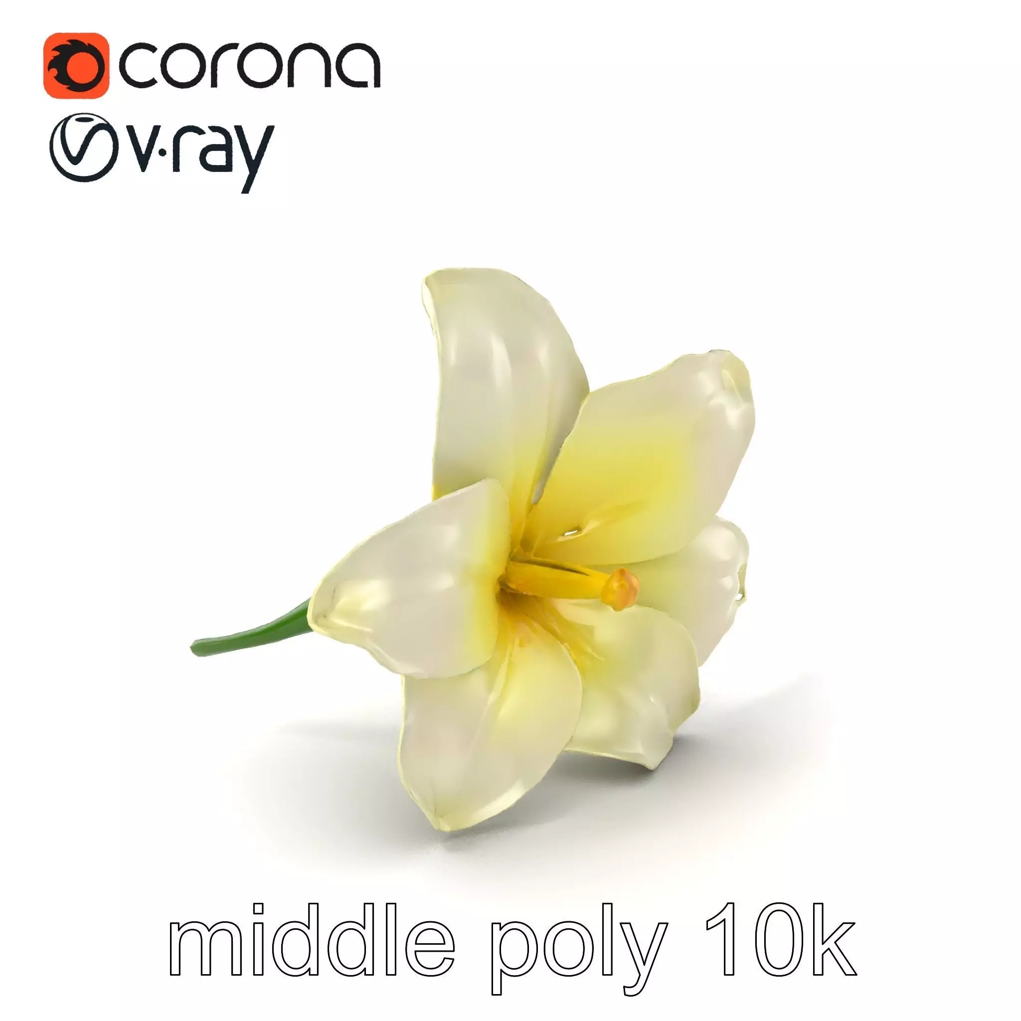 Freesia White Flower Realistic Texture model pack Low-poly 3D model_0