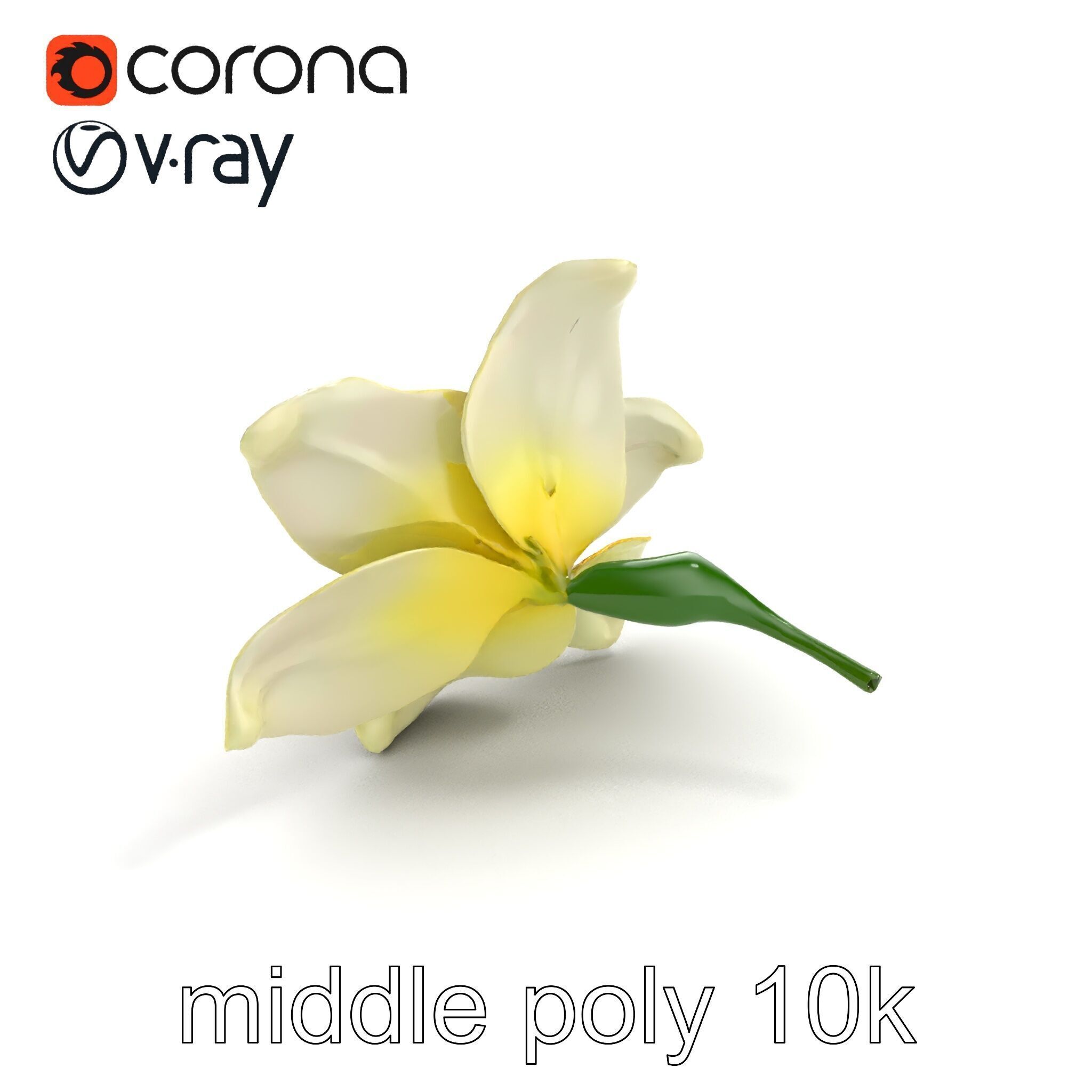 Freesia White Flower Realistic Texture model pack Low-poly 3D model_8