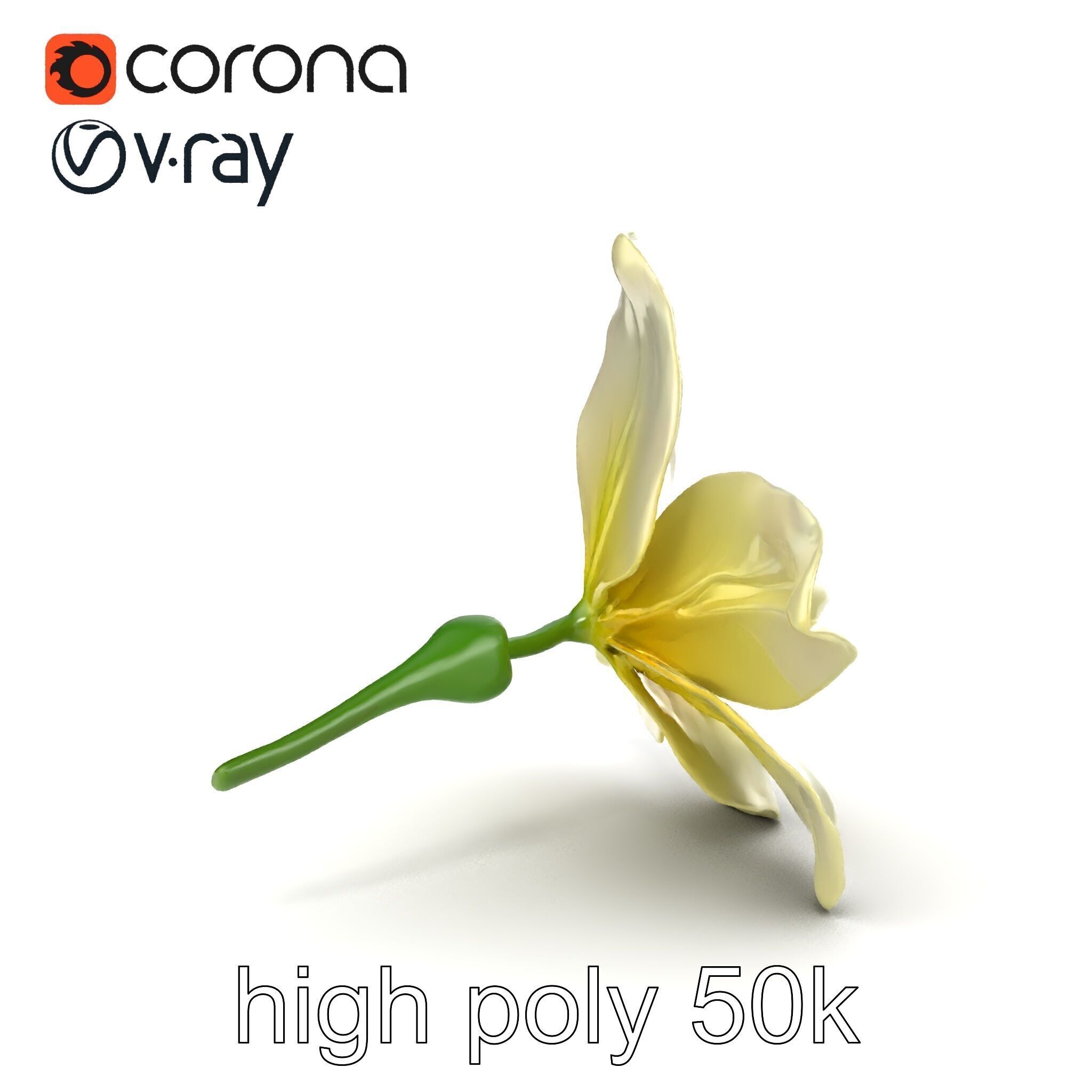 Freesia White Flower Realistic Texture model pack Low-poly 3D model_15
