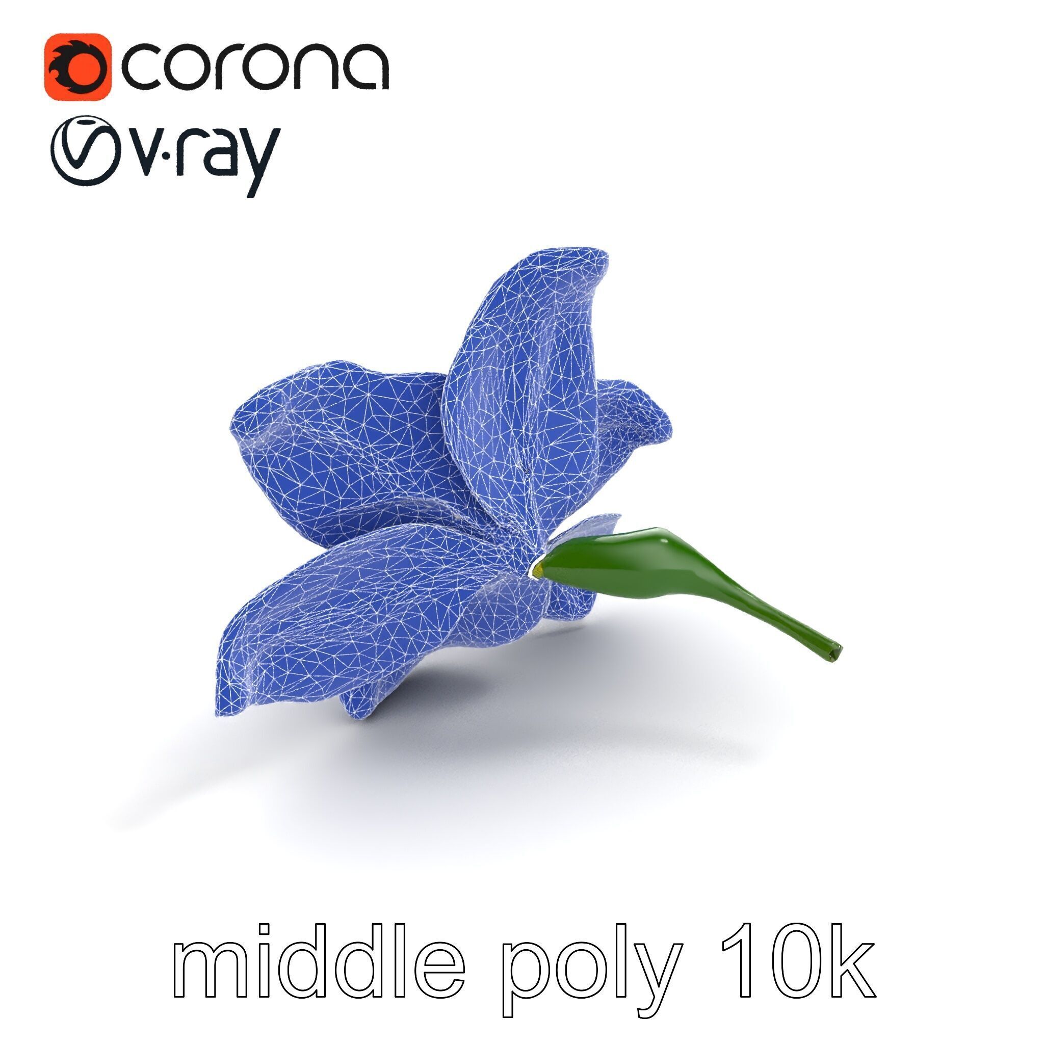 Freesia White Flower Realistic Texture model pack Low-poly 3D model_11