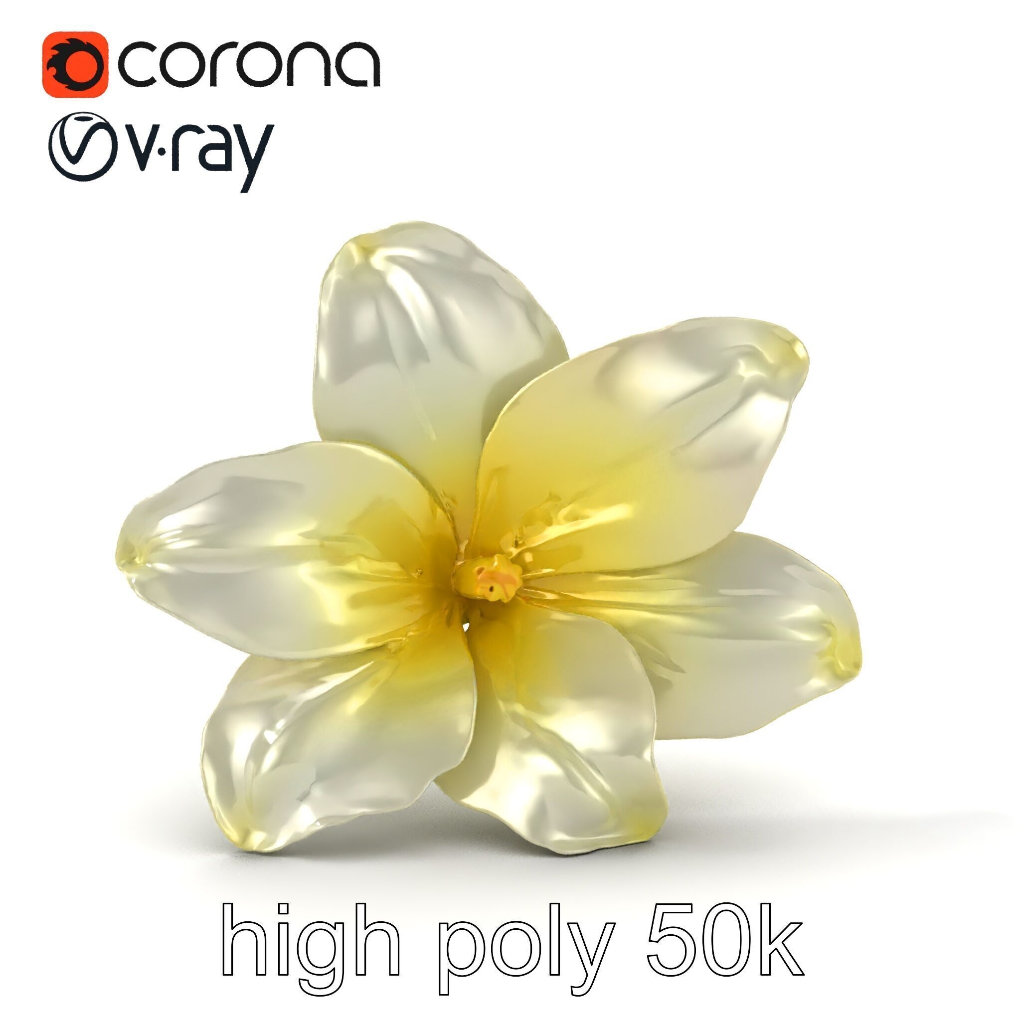 Freesia White Flower Realistic Texture model pack Low-poly 3D model_23