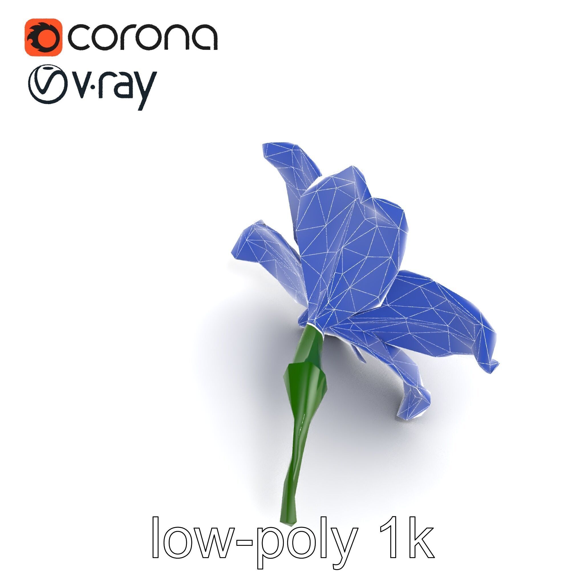 Freesia White Flower Realistic Texture model pack Low-poly 3D model_12