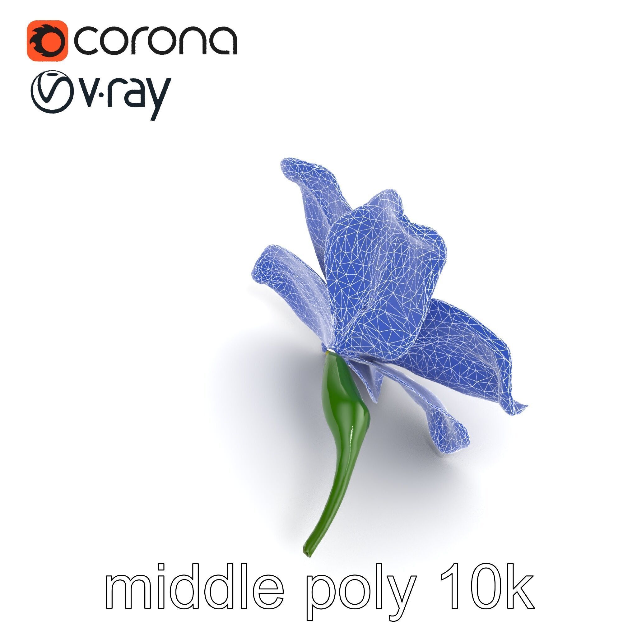 Freesia White Flower Realistic Texture model pack Low-poly 3D model_32