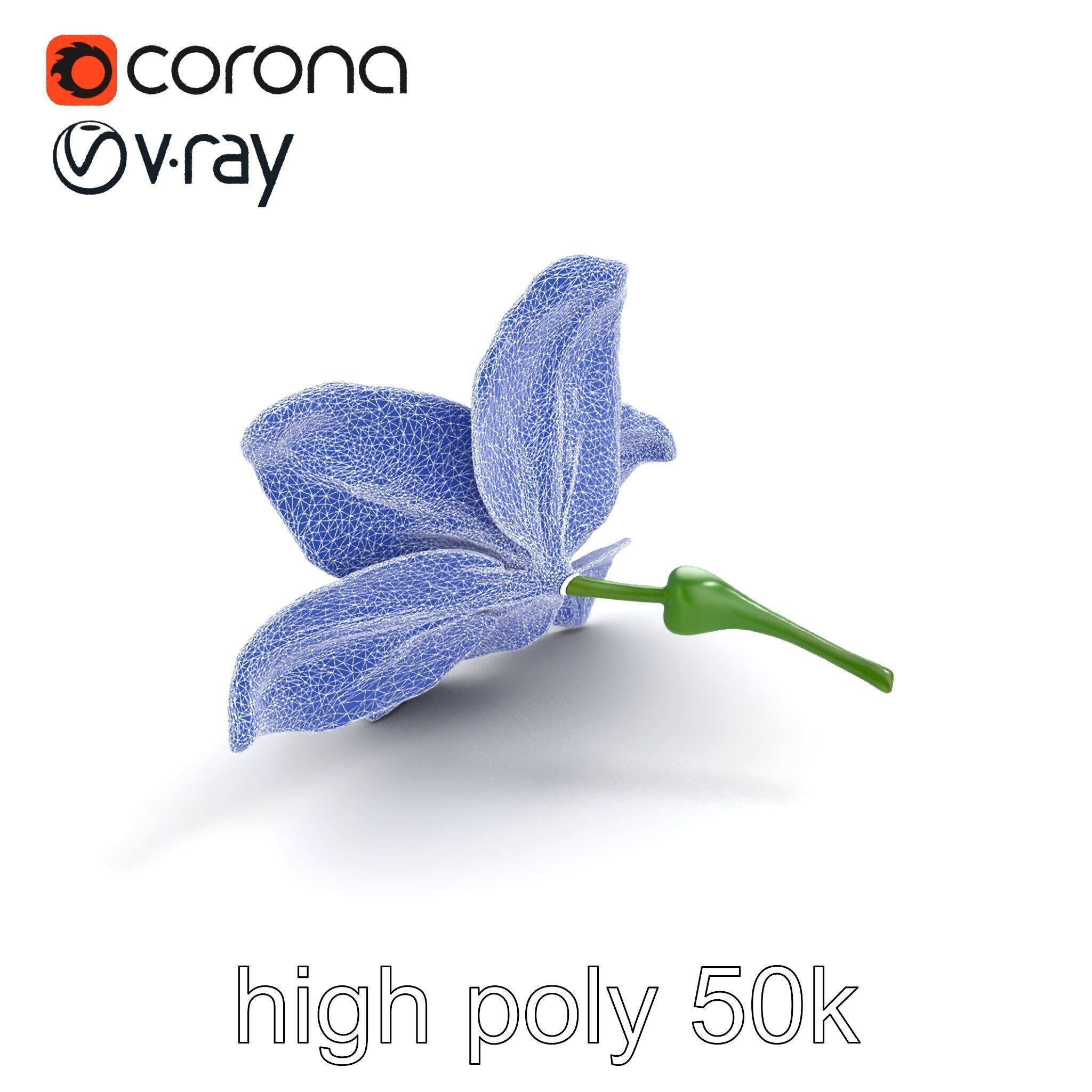 Freesia White Flower Realistic Texture model pack Low-poly 3D model_25