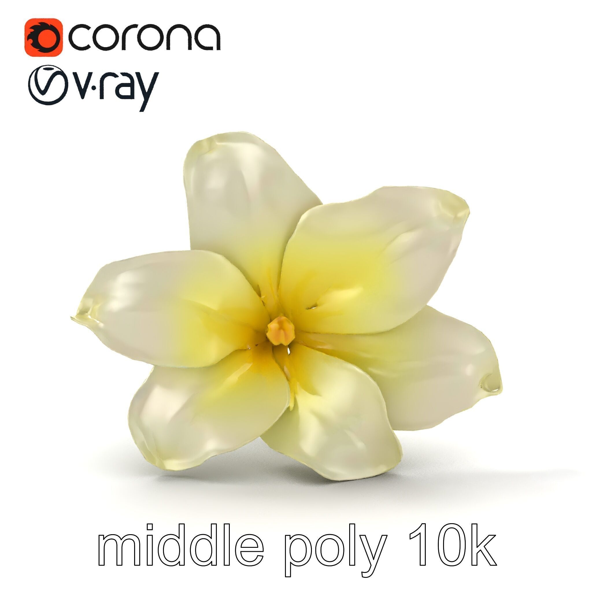 Freesia White Flower Realistic Texture model pack Low-poly 3D model_31