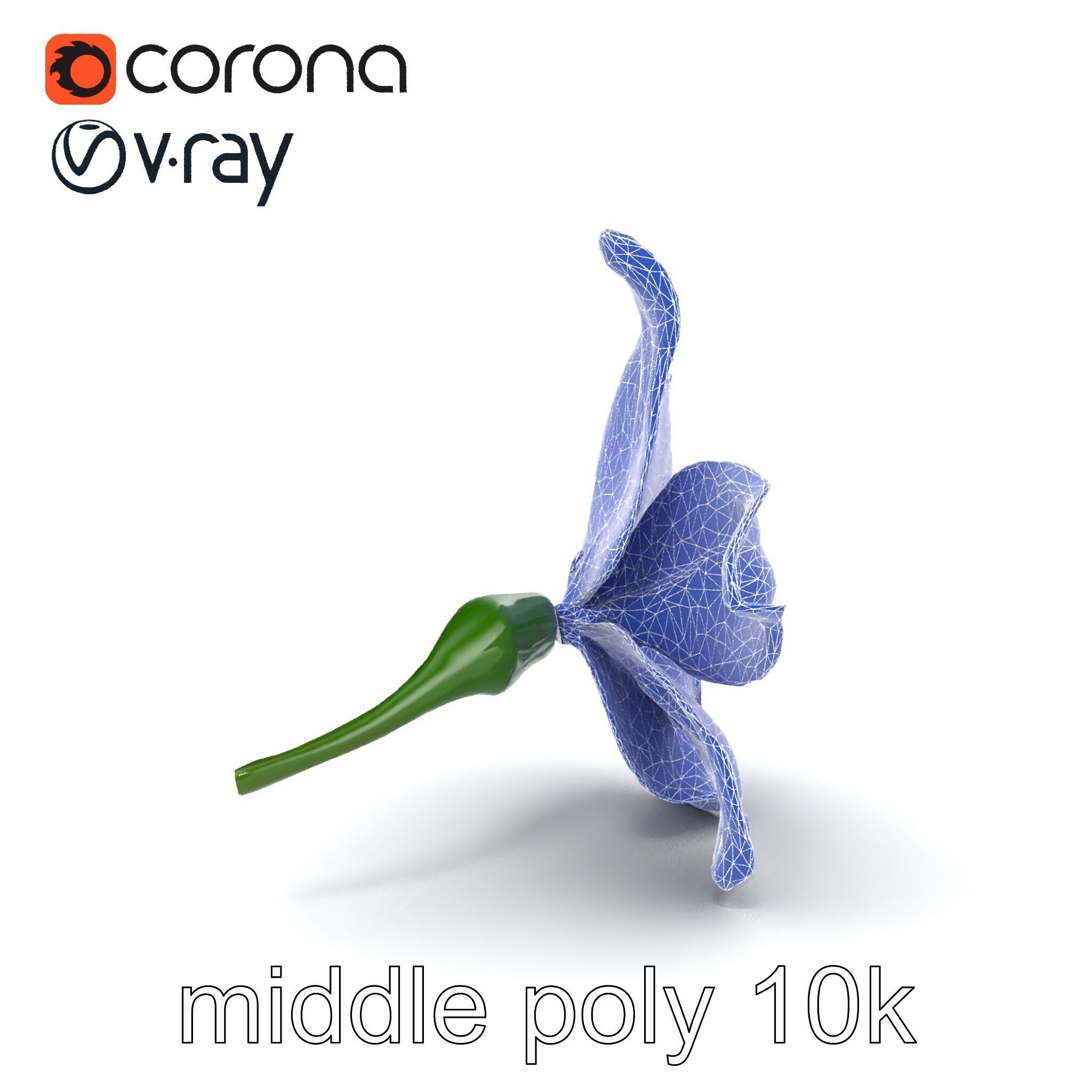 Freesia White Flower Realistic Texture model pack Low-poly 3D model_14