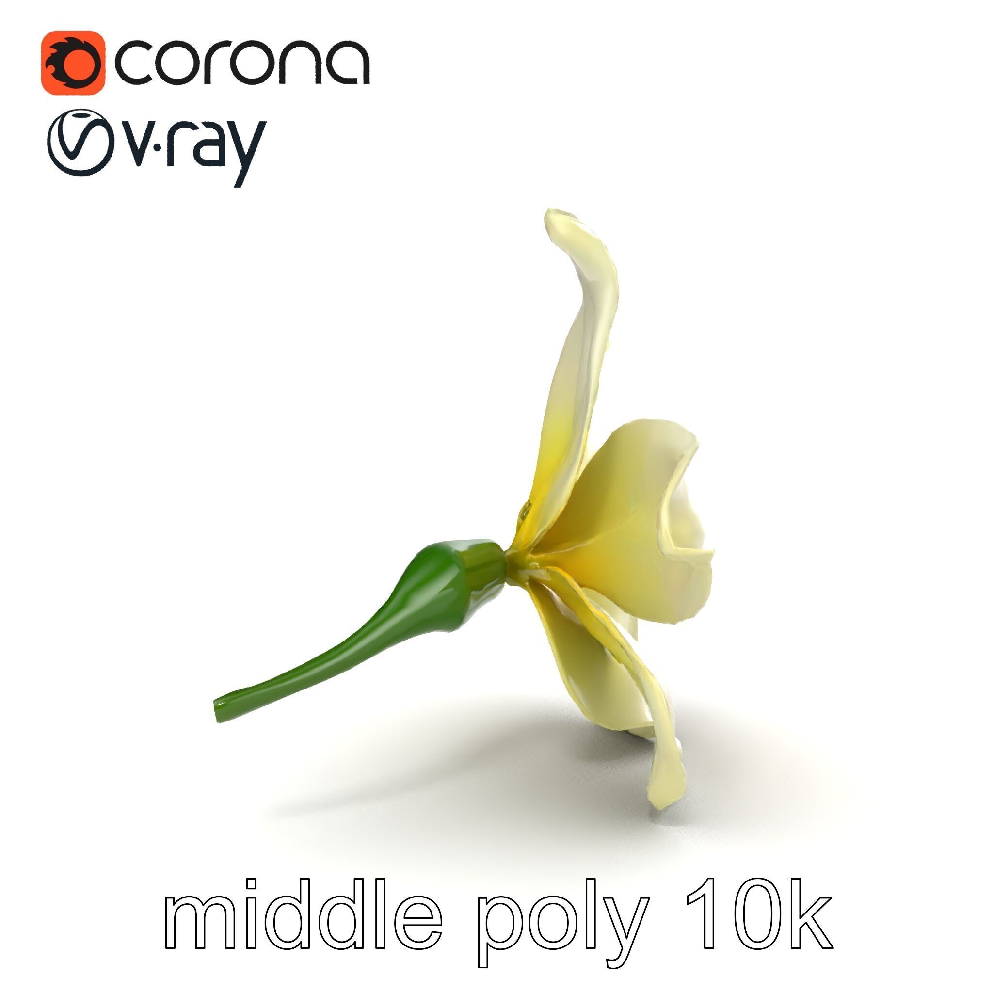 Freesia White Flower Realistic Texture model pack Low-poly 3D model_20