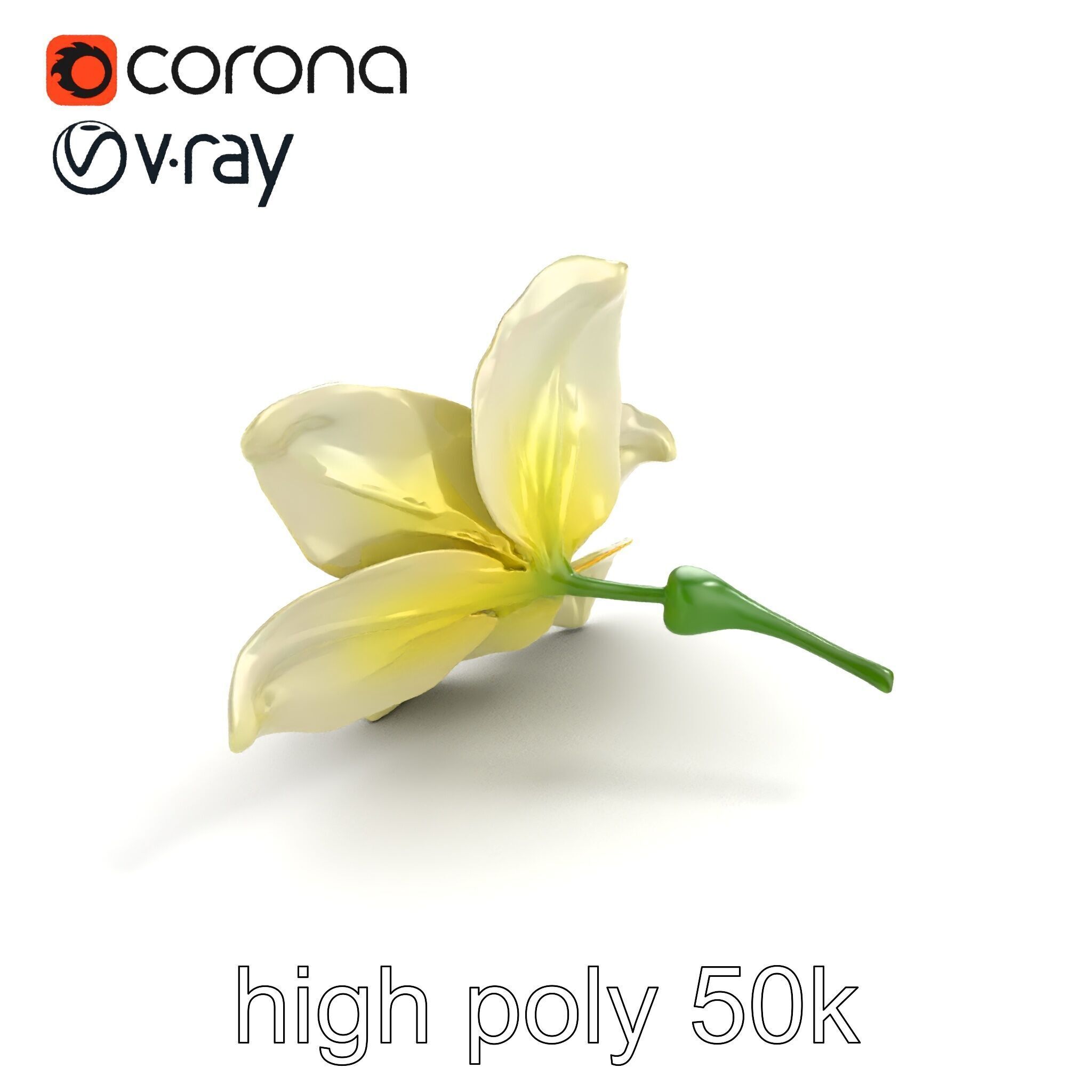 Freesia White Flower Realistic Texture model pack Low-poly 3D model_17