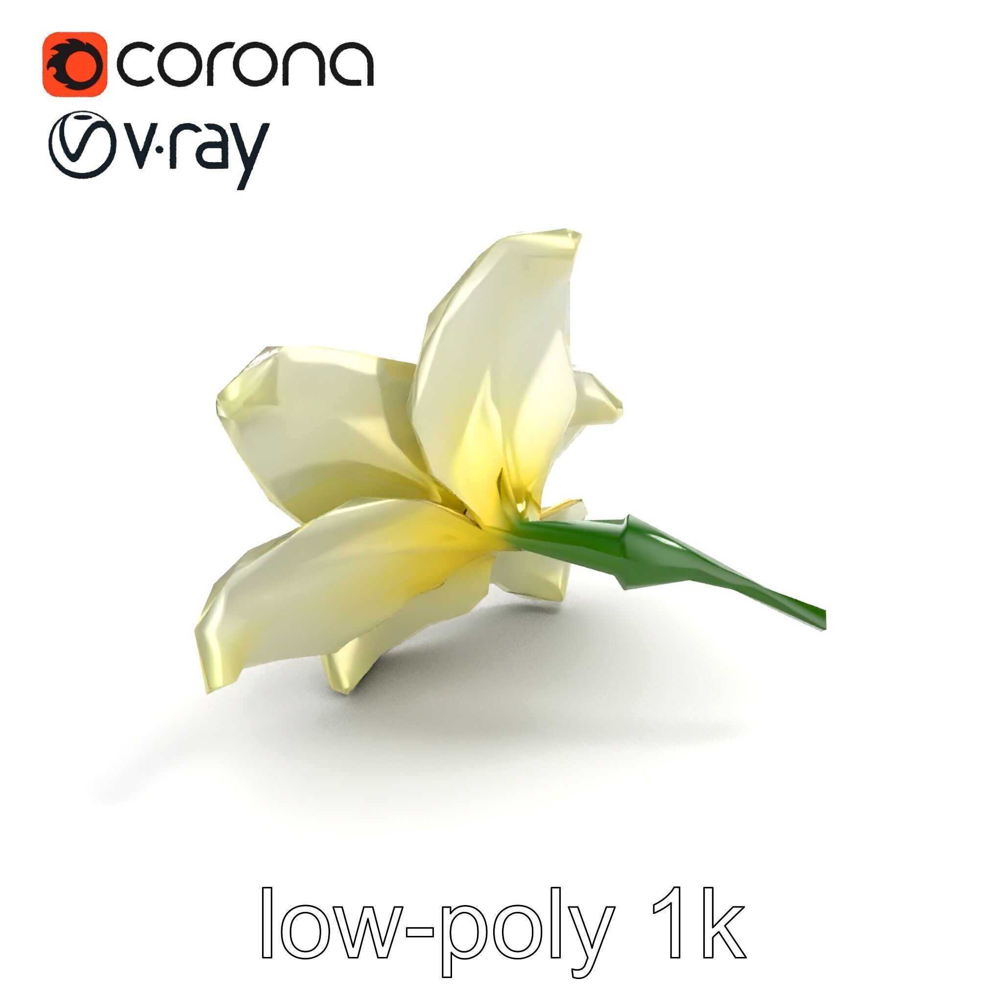 Freesia White Flower Realistic Texture model pack Low-poly 3D model_9