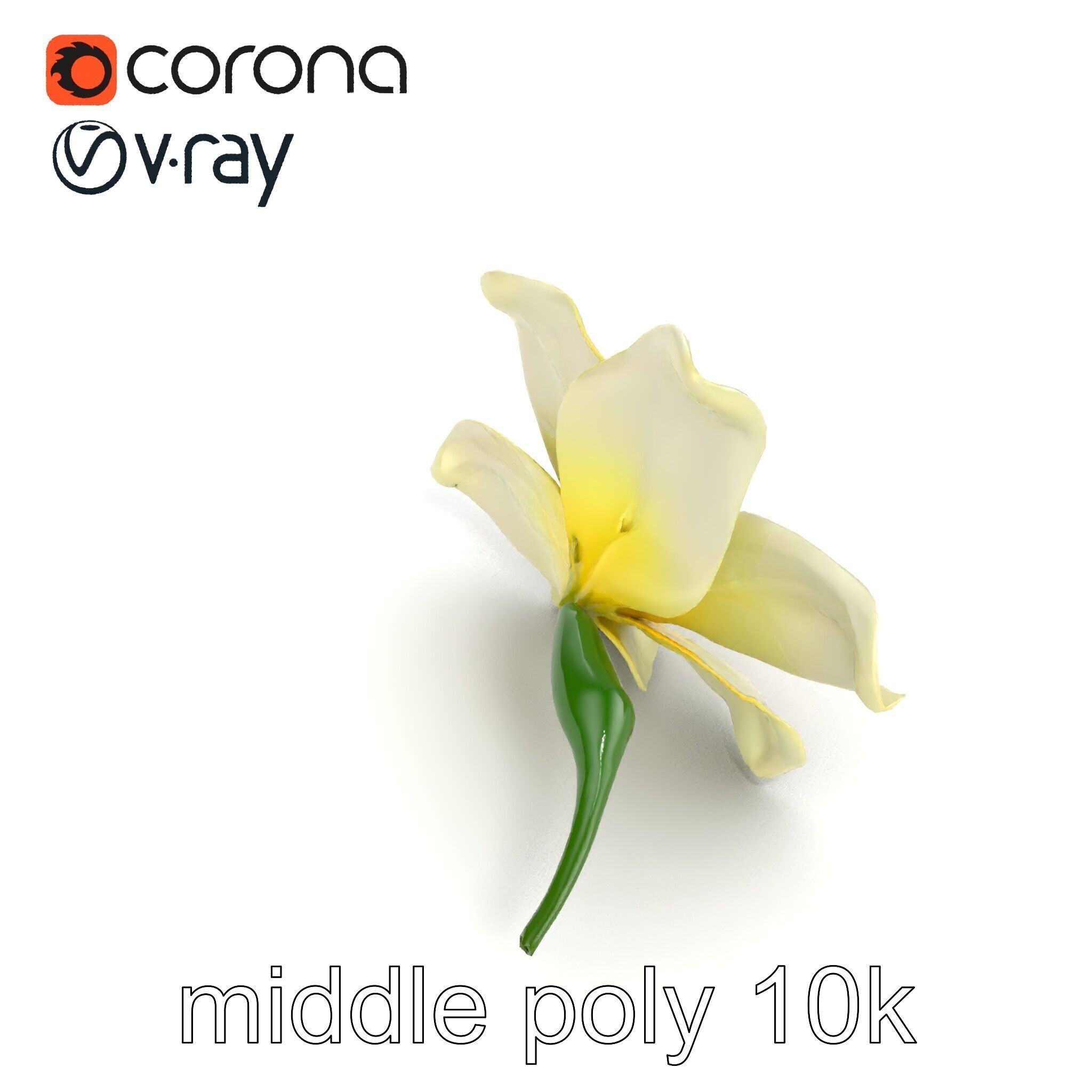 Freesia White Flower Realistic Texture model pack Low-poly 3D model_16