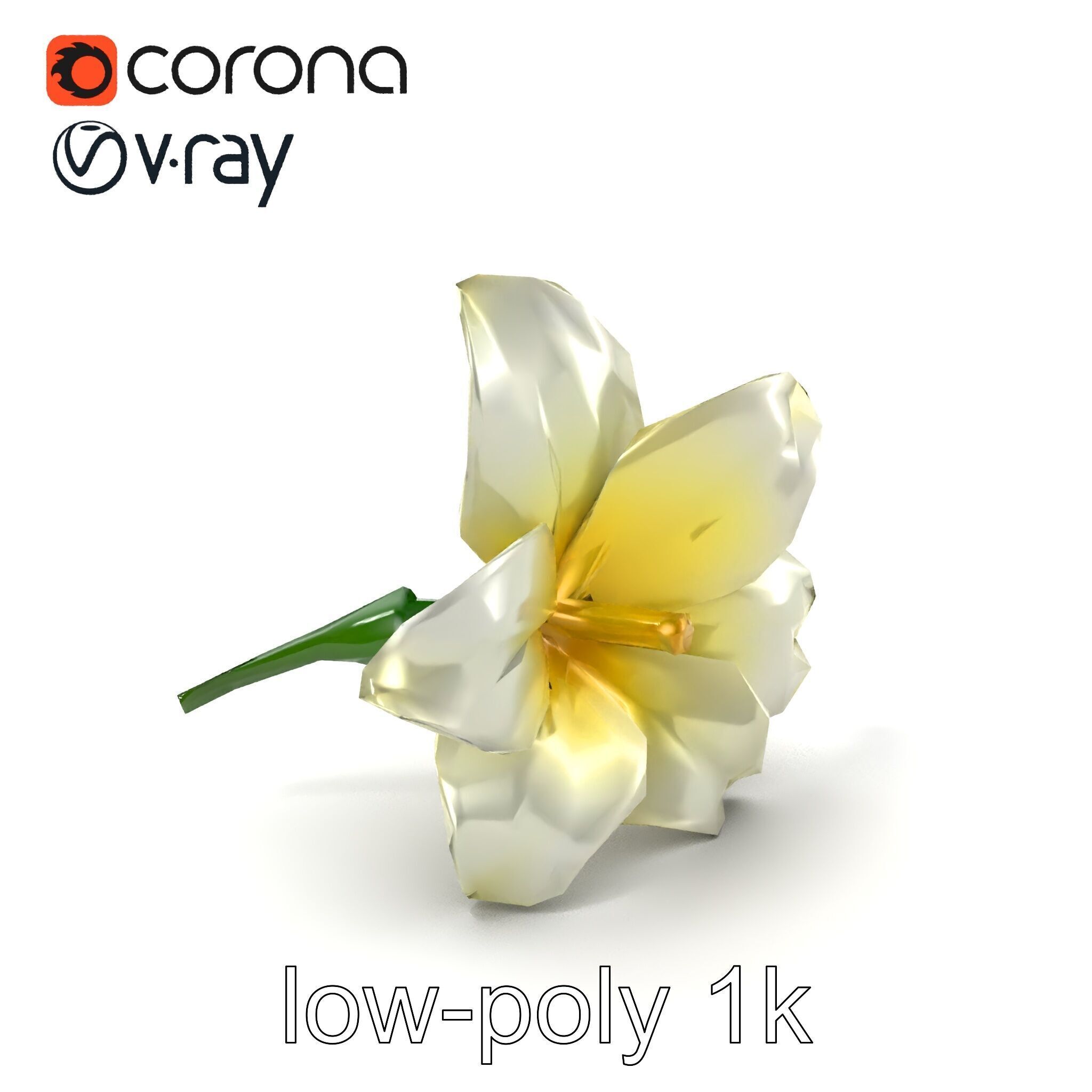 Freesia White Flower Realistic Texture model pack Low-poly 3D model_5