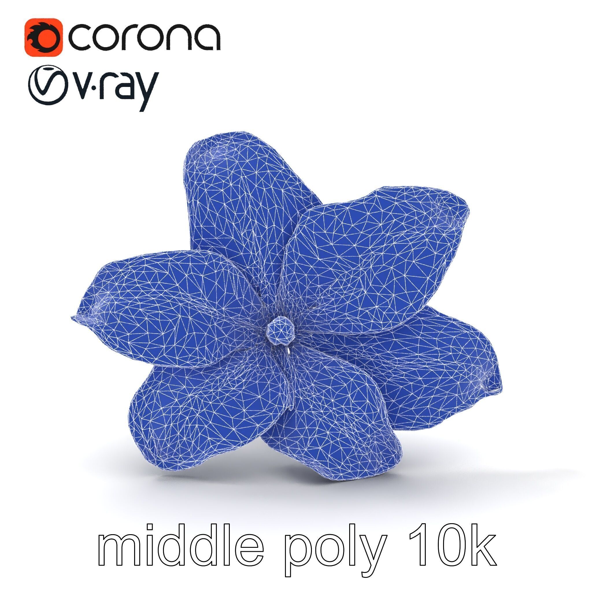 Freesia White Flower Realistic Texture model pack Low-poly 3D model_24