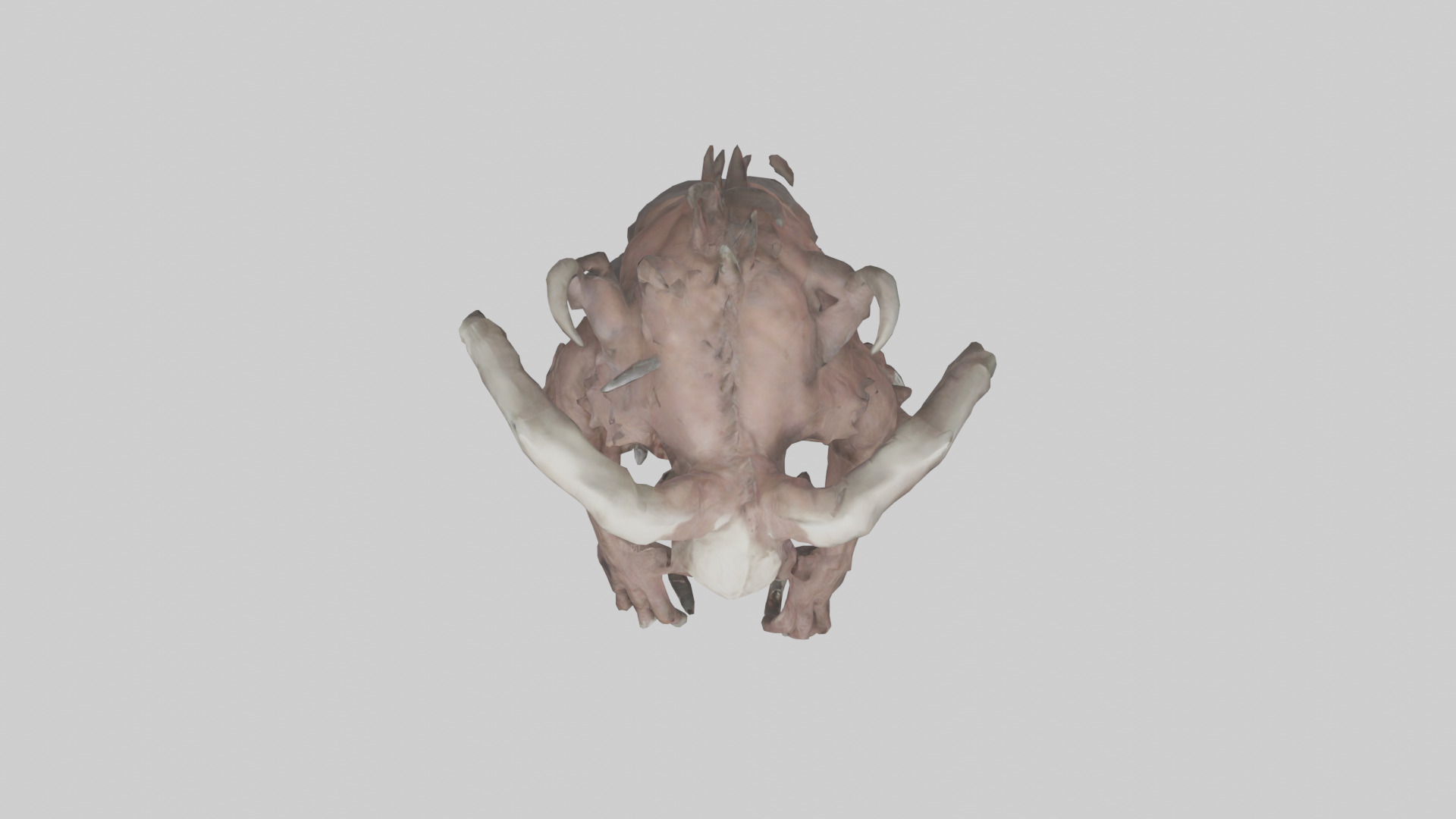 Plagued Beast model Low-poly 3D model_14