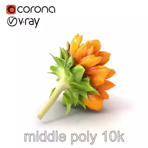 Veined Sunflower Realistic Petals 3D Model Pack Low-poly 3D model
