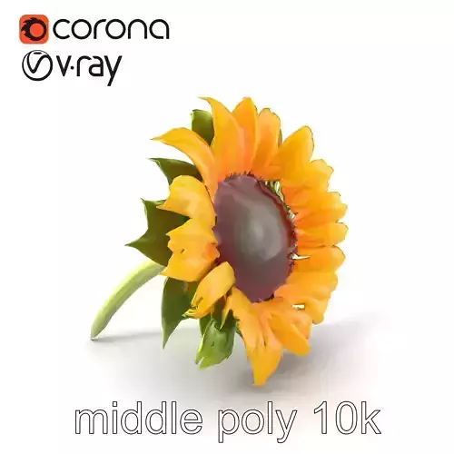 Black Center Sunflower Realistic 3D Model Pack Low-poly 3D model