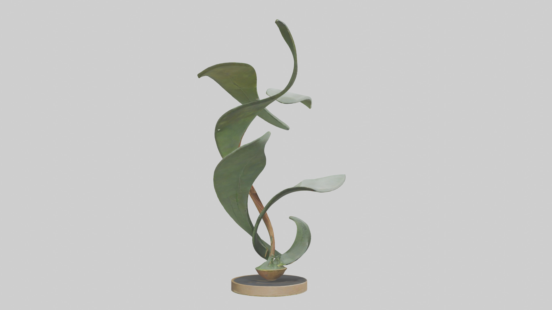 Plant and Stem Movement Sculpture model Low-poly 3D model_11