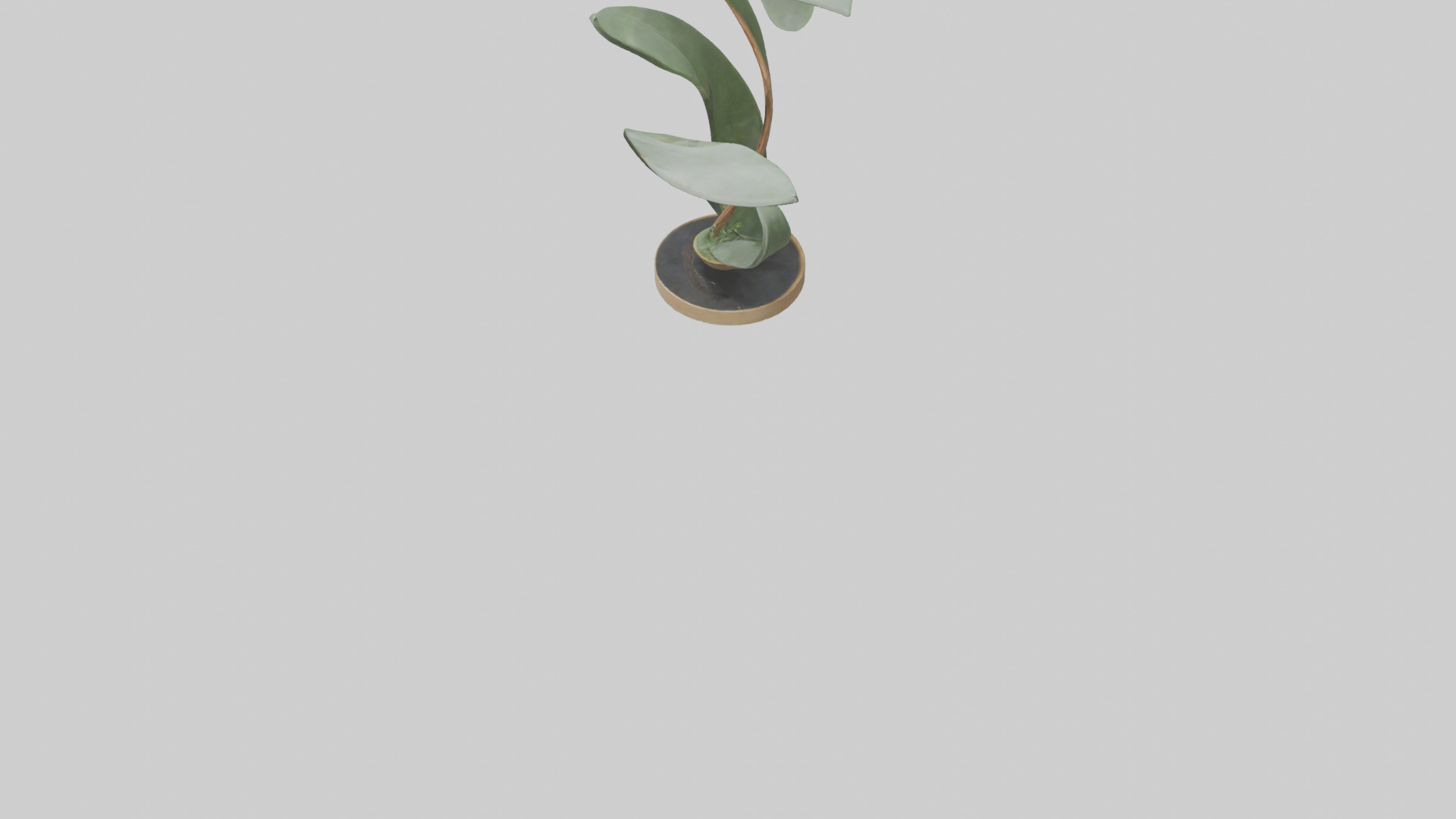 Plant and Stem Movement Sculpture model Low-poly 3D model_5