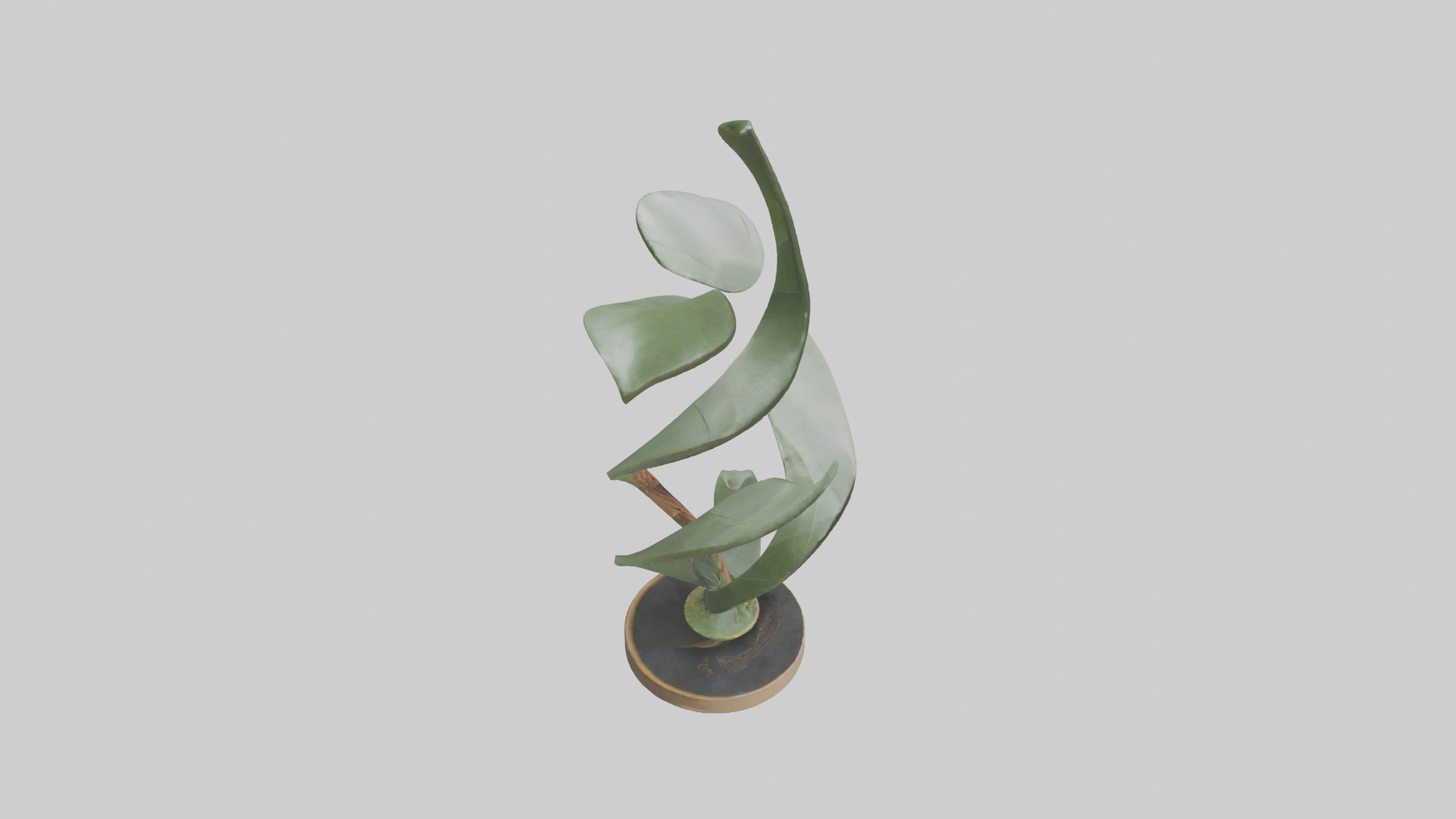 Plant and Stem Movement Sculpture model Low-poly 3D model_18