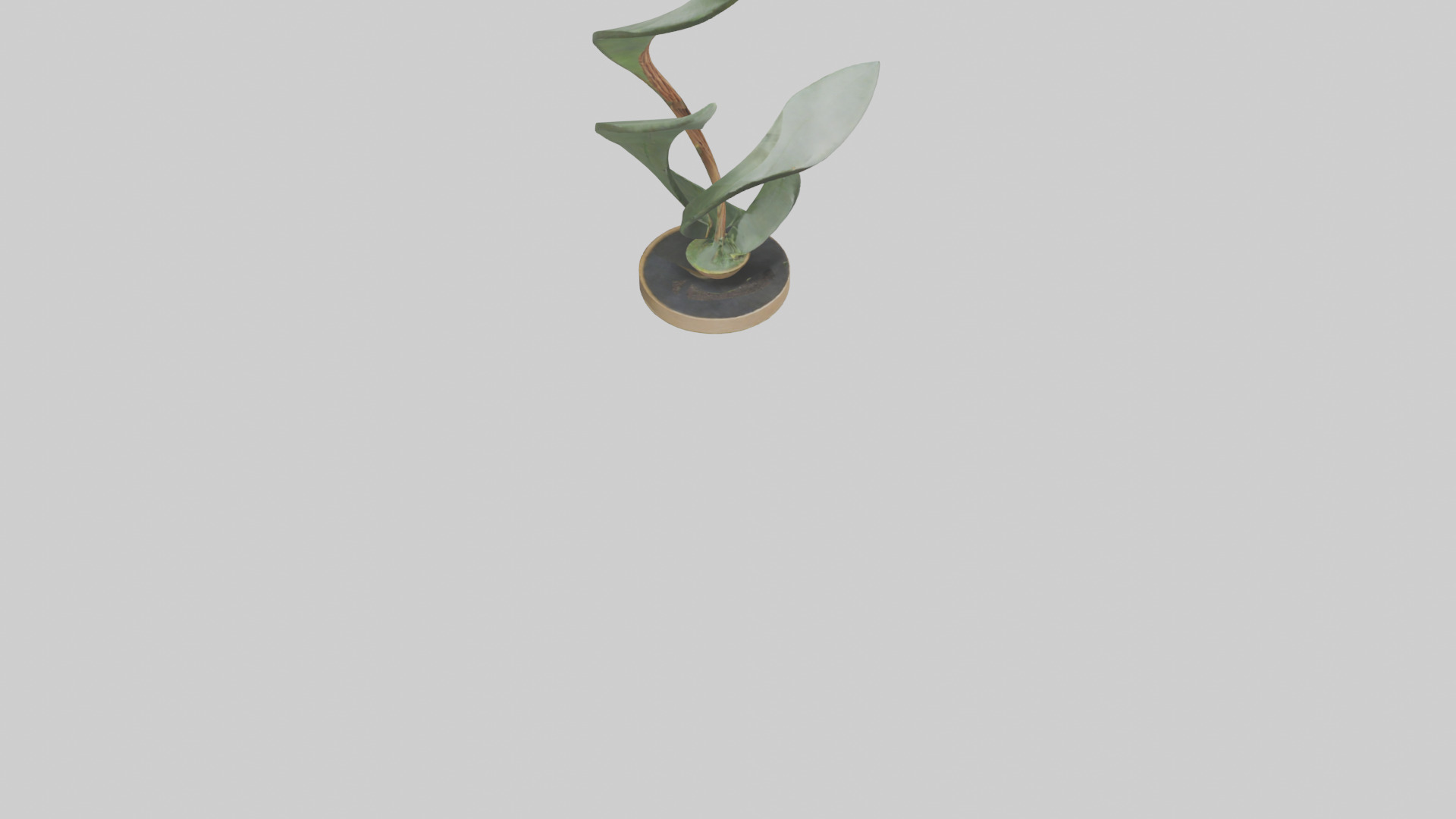 Plant and Stem Movement Sculpture model Low-poly 3D model_6