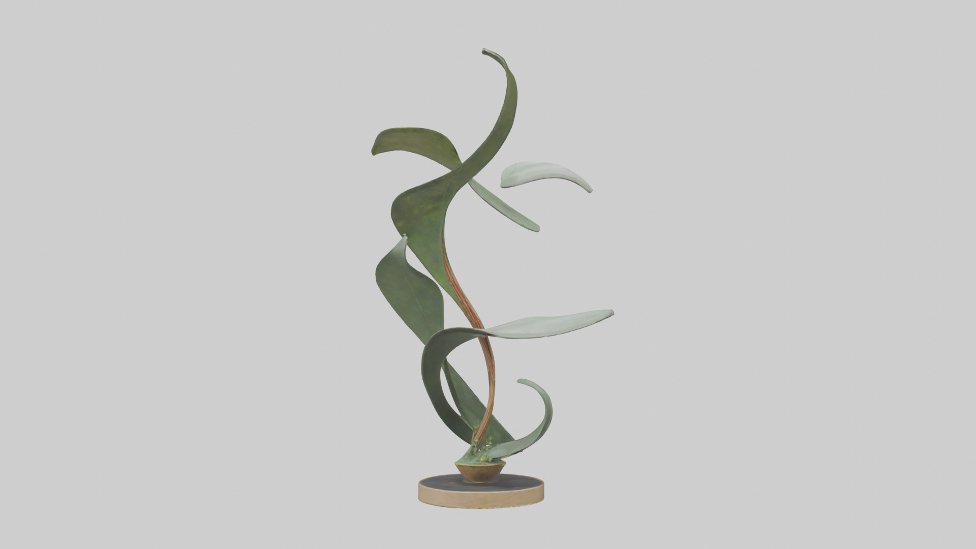 Plant and Stem Movement Sculpture model Low-poly 3D model_9