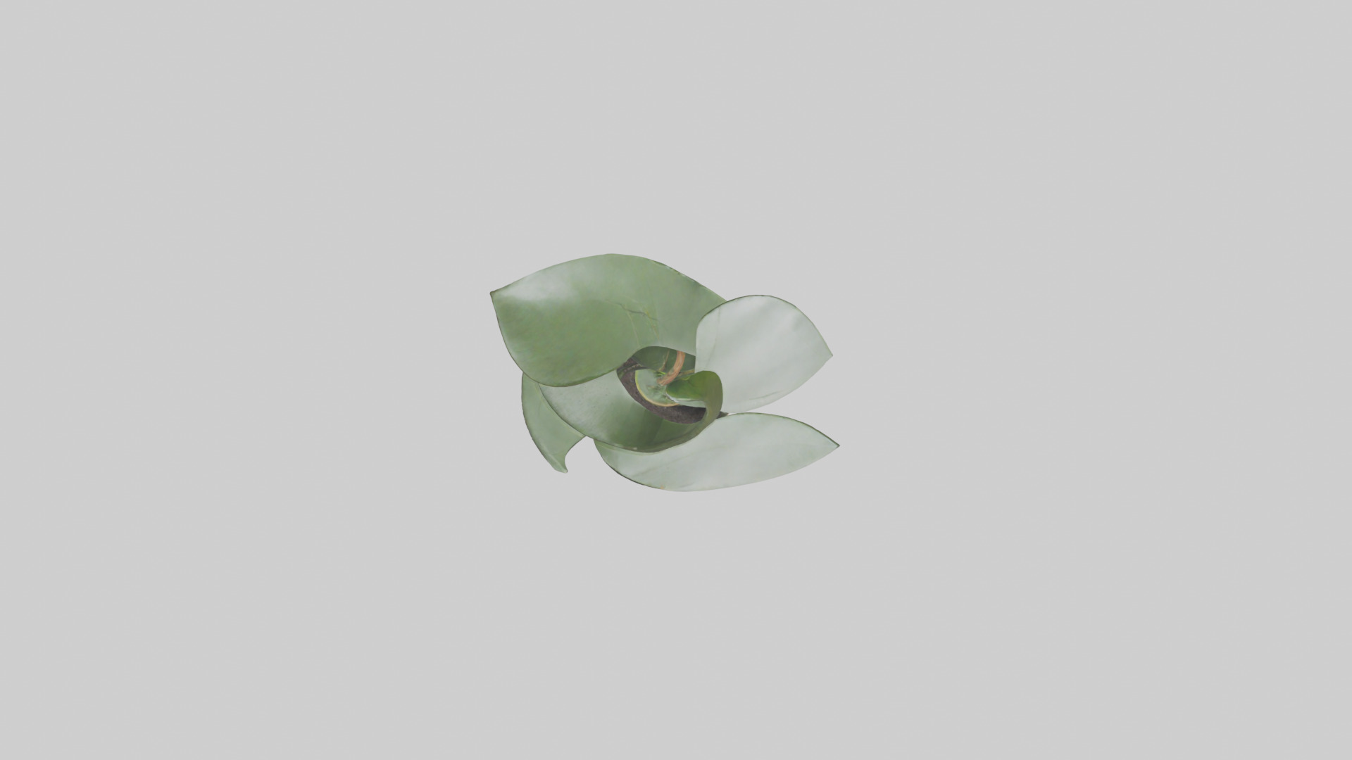Plant and Stem Movement Sculpture model Low-poly 3D model_14