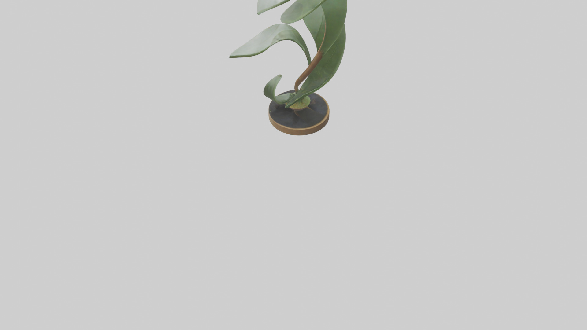 Plant and Stem Movement Sculpture model Low-poly 3D model_3