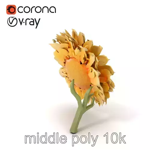 Chrysanthemum White Velvet Petals Model Pack Low-poly 3D model