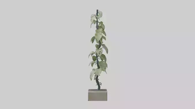 Plant Spiral Sculpture model Low-poly 3D model