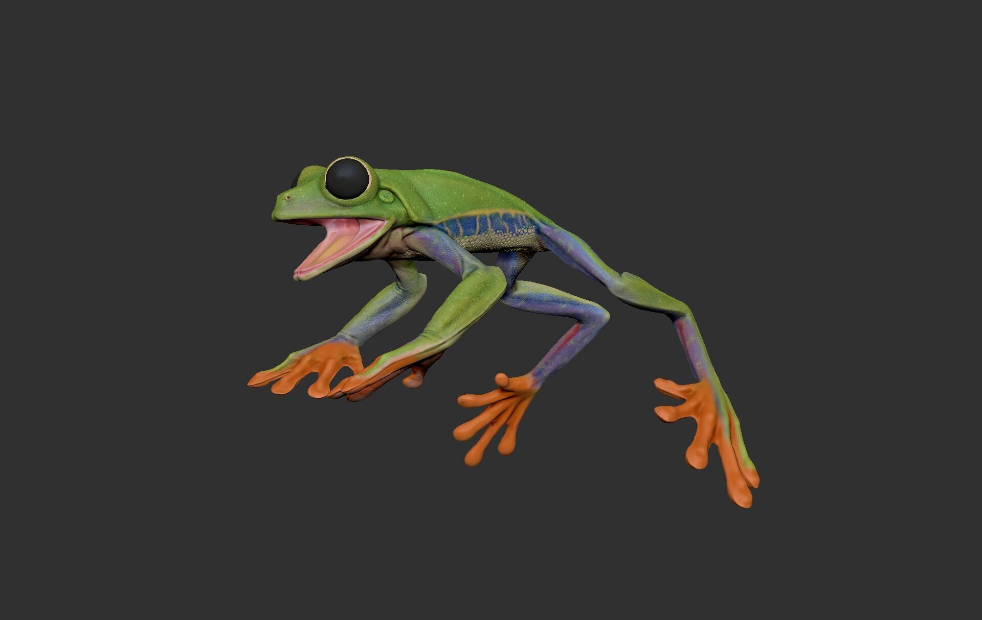 Red Tree Frog Sculpt  Low-poly 3D model_6