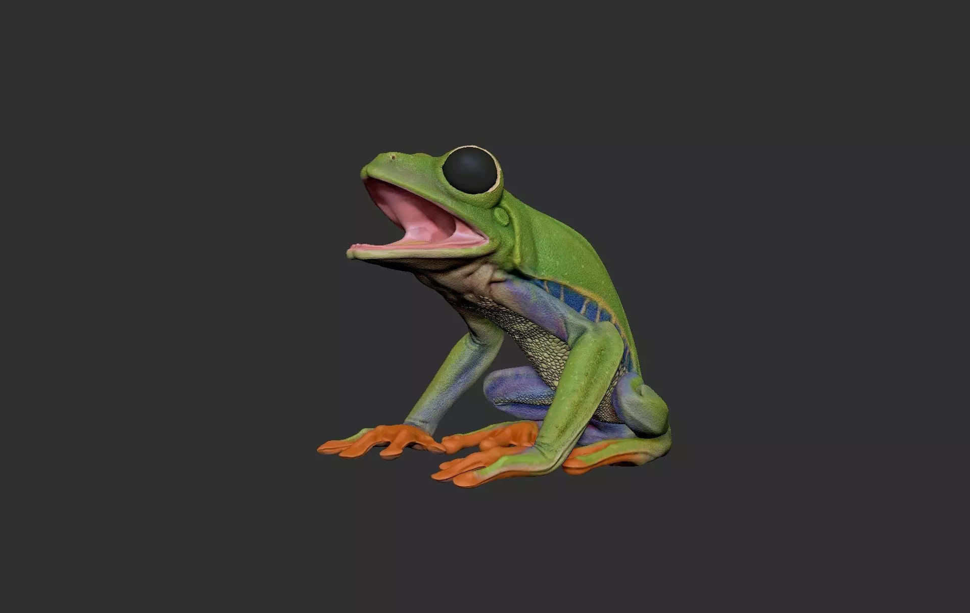 Red Tree Frog Sculpt  Low-poly 3D model_0